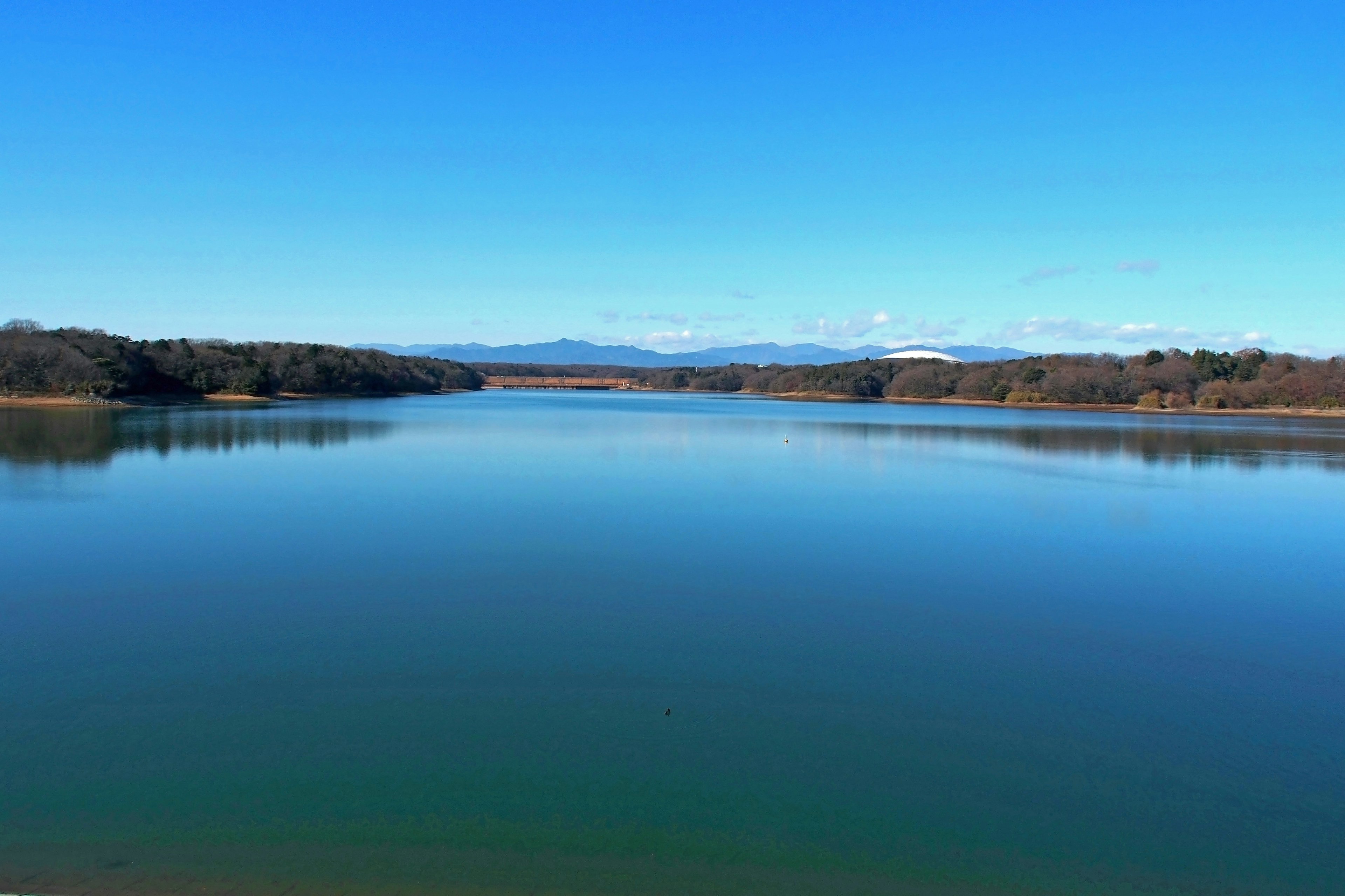 Panoramablick auf einen ruhigen See unter einem blauen Himmel umgeben von Bäumen und Bergen