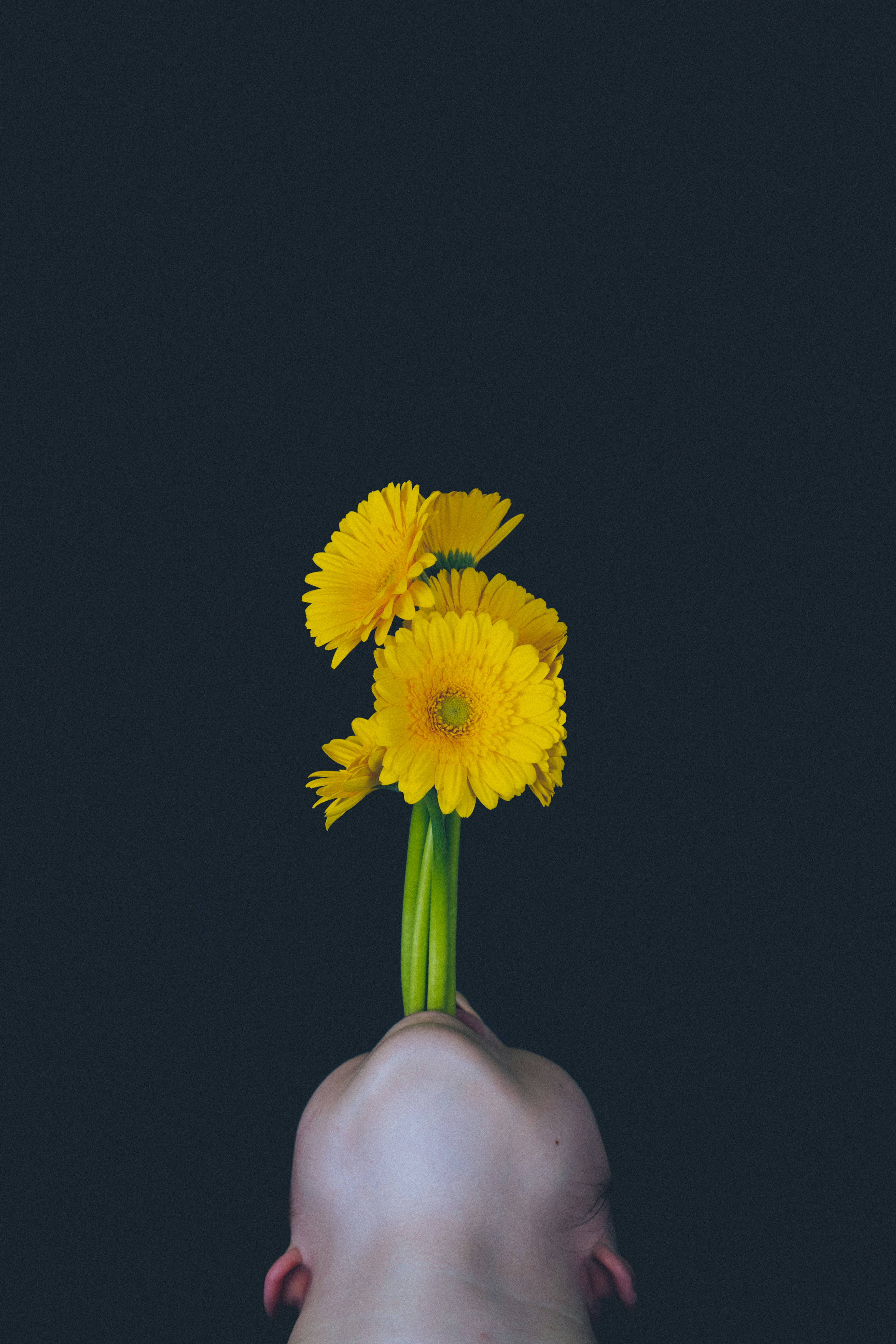 頭の上に黄色い花を持つ人物の画像