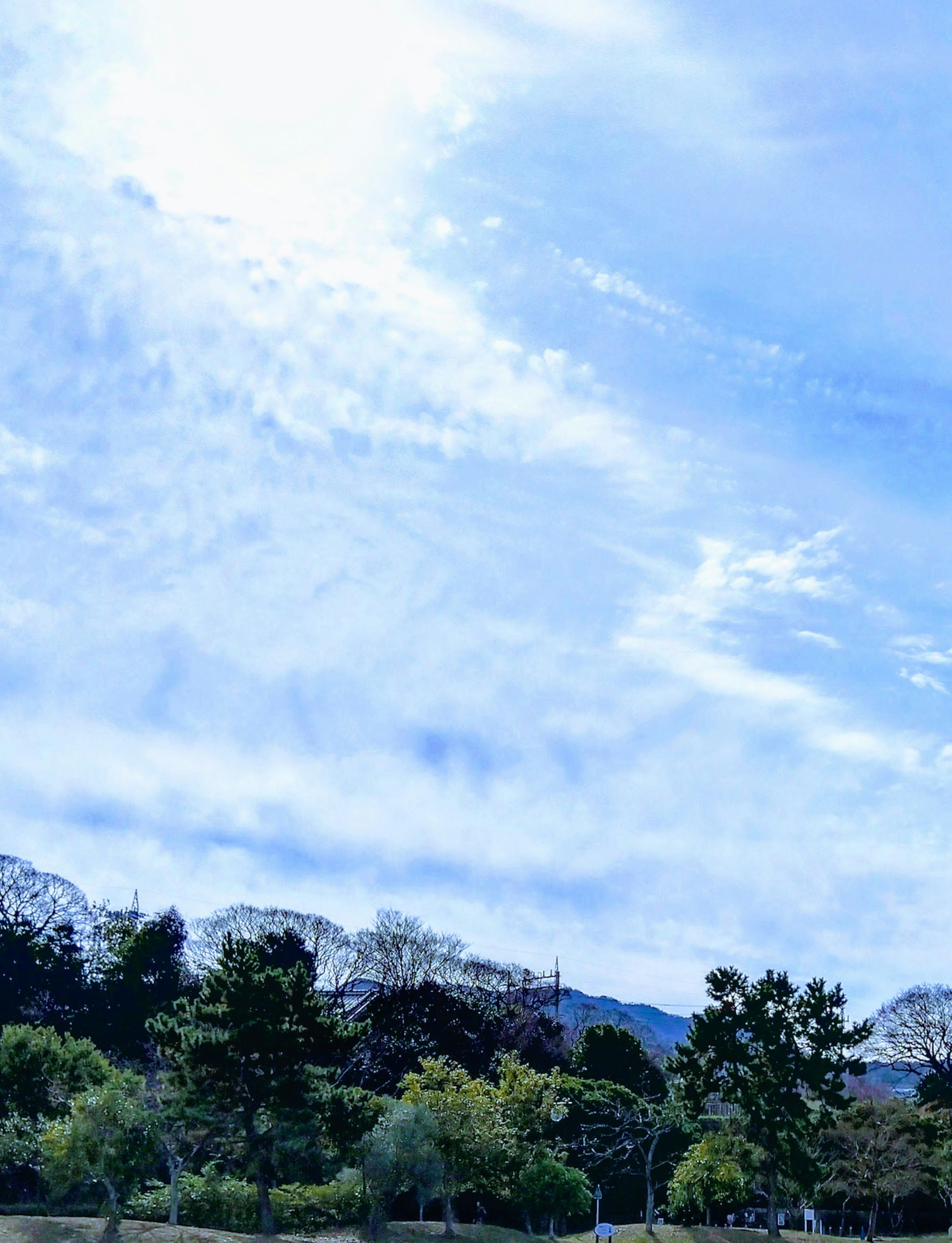 Pemandangan langit biru dengan awan putih pohon hijau dan gunung di latar belakang