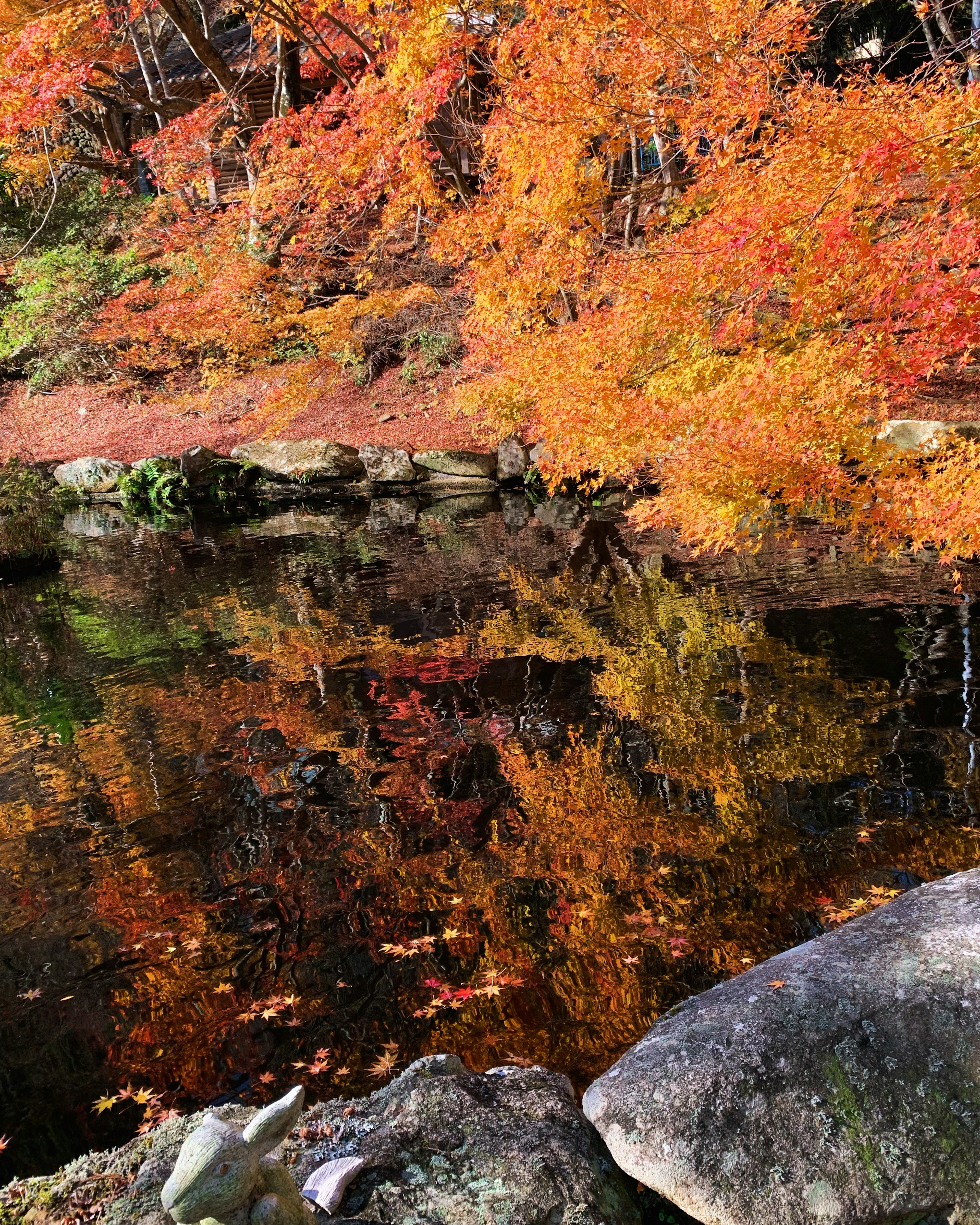 秋の紅葉が湖面に映る風景