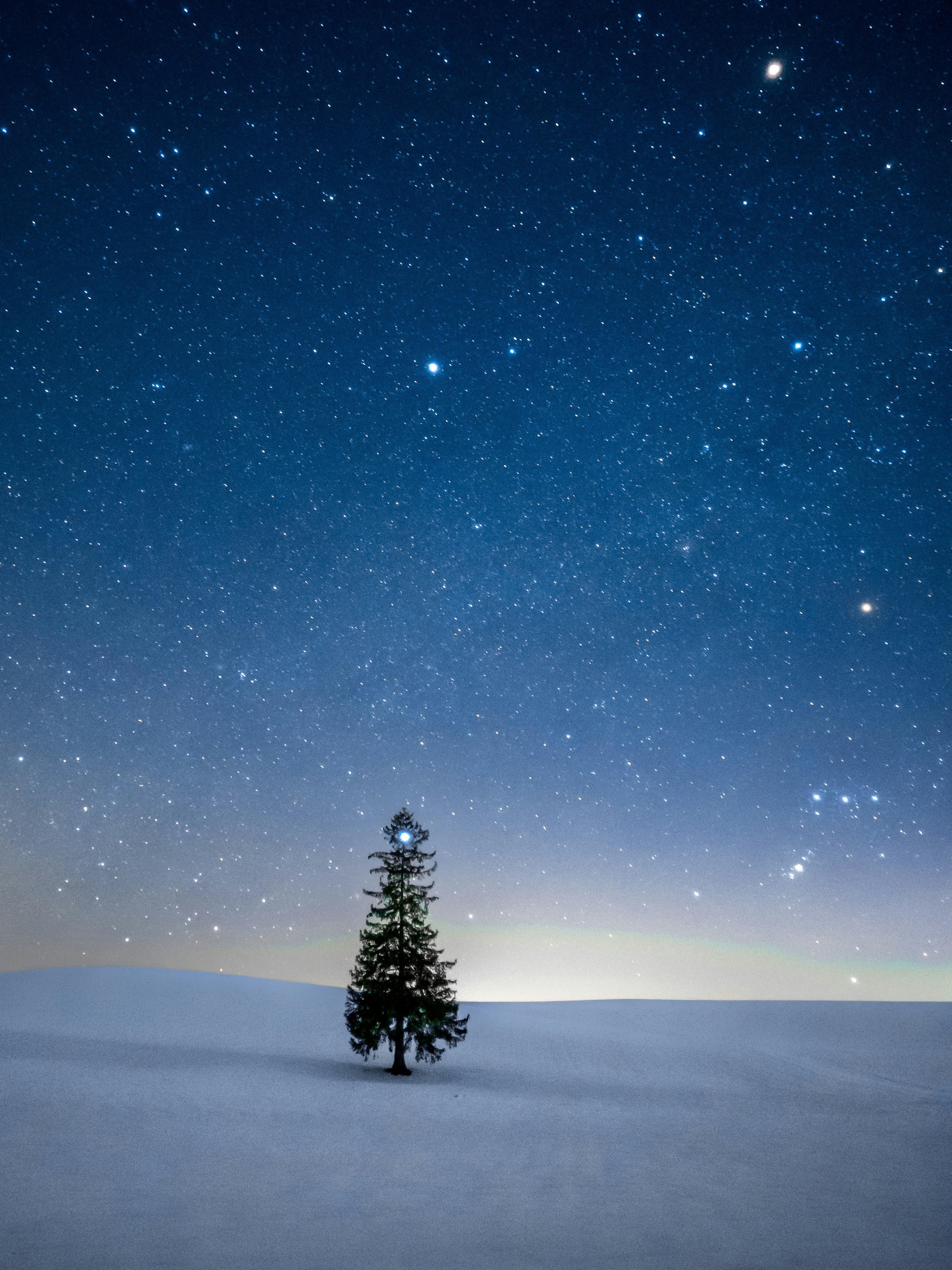A solitary tree on a snow-covered landscape under a starry night sky