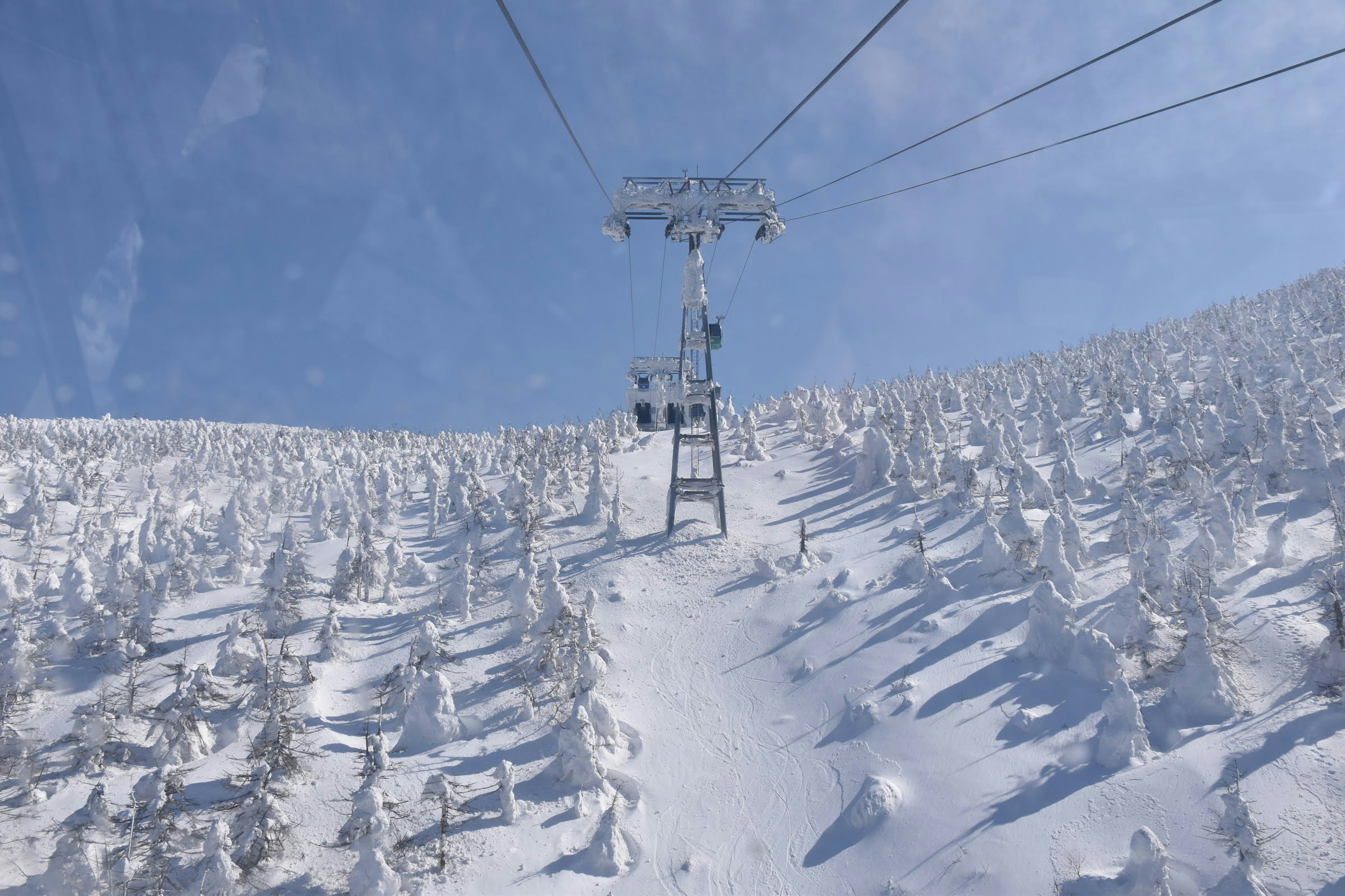 Vue panoramique d'une télécabine sur une montagne enneigée sous un ciel bleu clair avec des arbres blancs