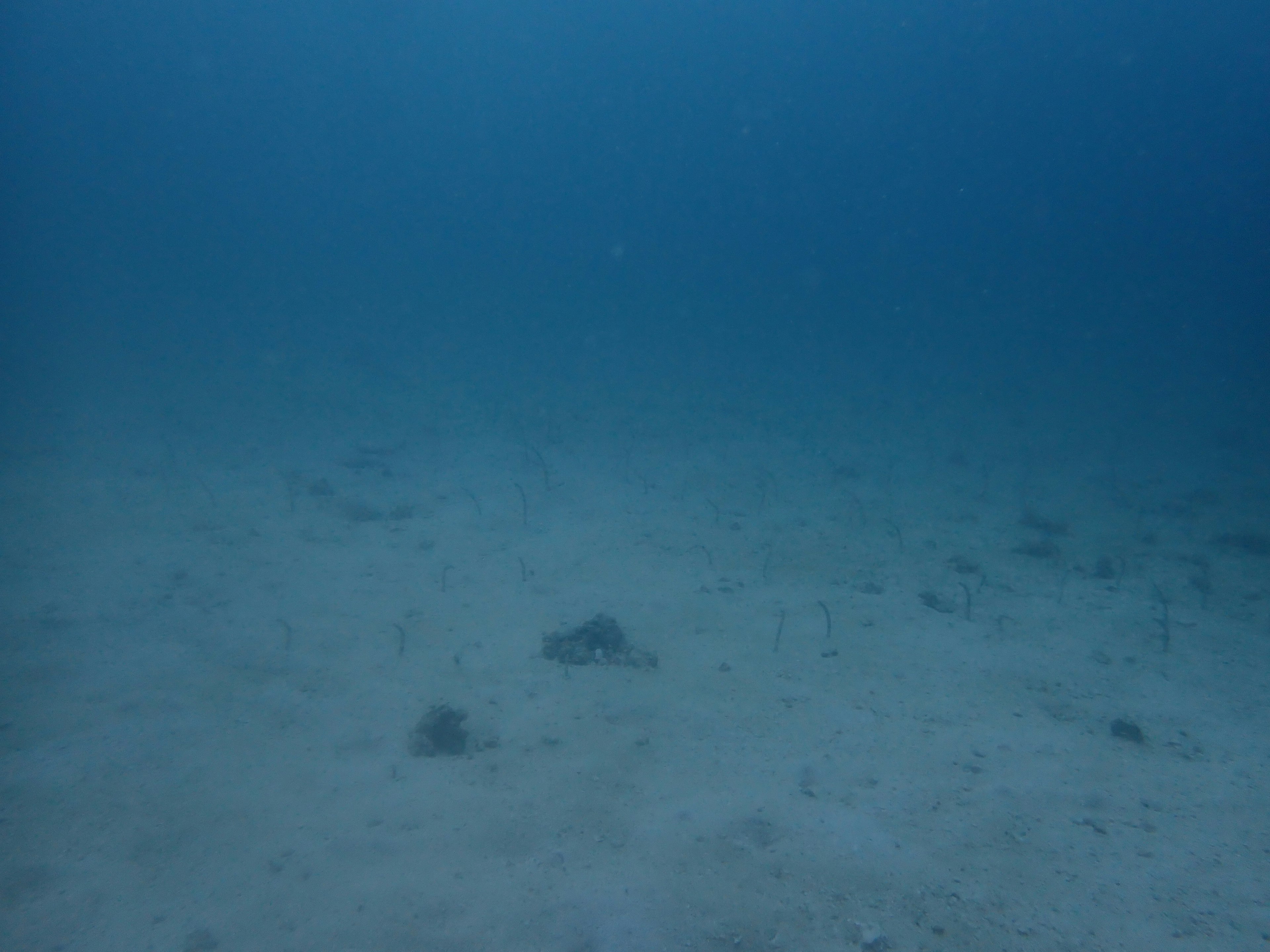 Underwater scene featuring a blue ocean floor with sand and small rocks