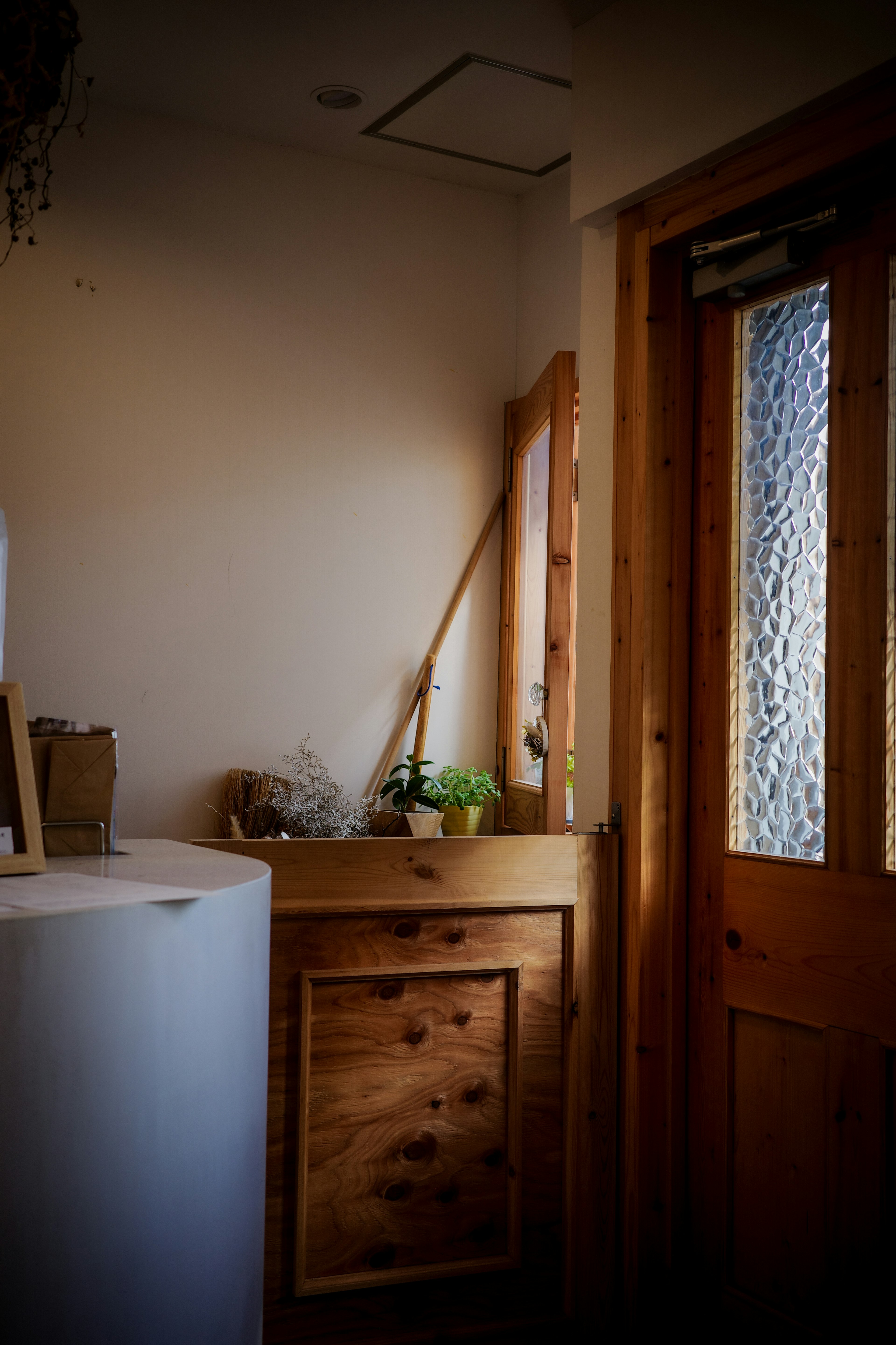 Coin d'une pièce avec une porte en bois décoration simple et une petite plante