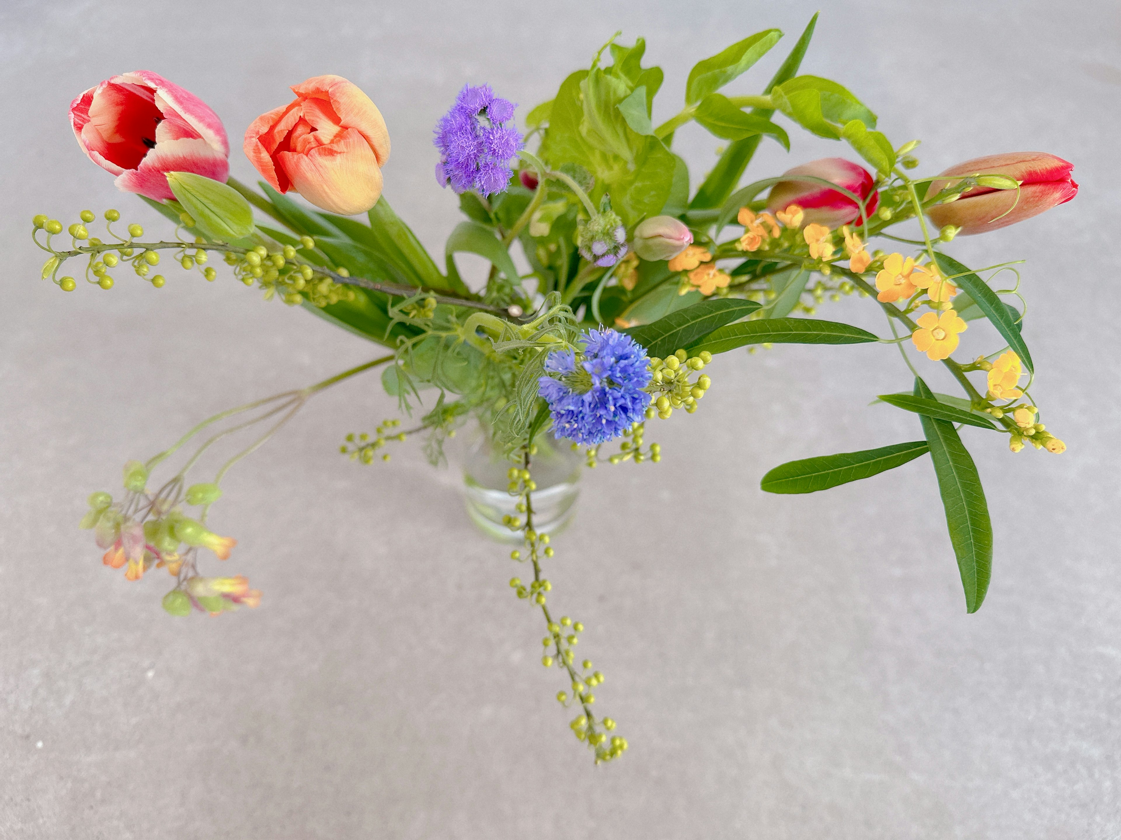 Un vaso di vetro riempito di fiori colorati tra cui tulipani e fiori viola circondati da foglie verdi