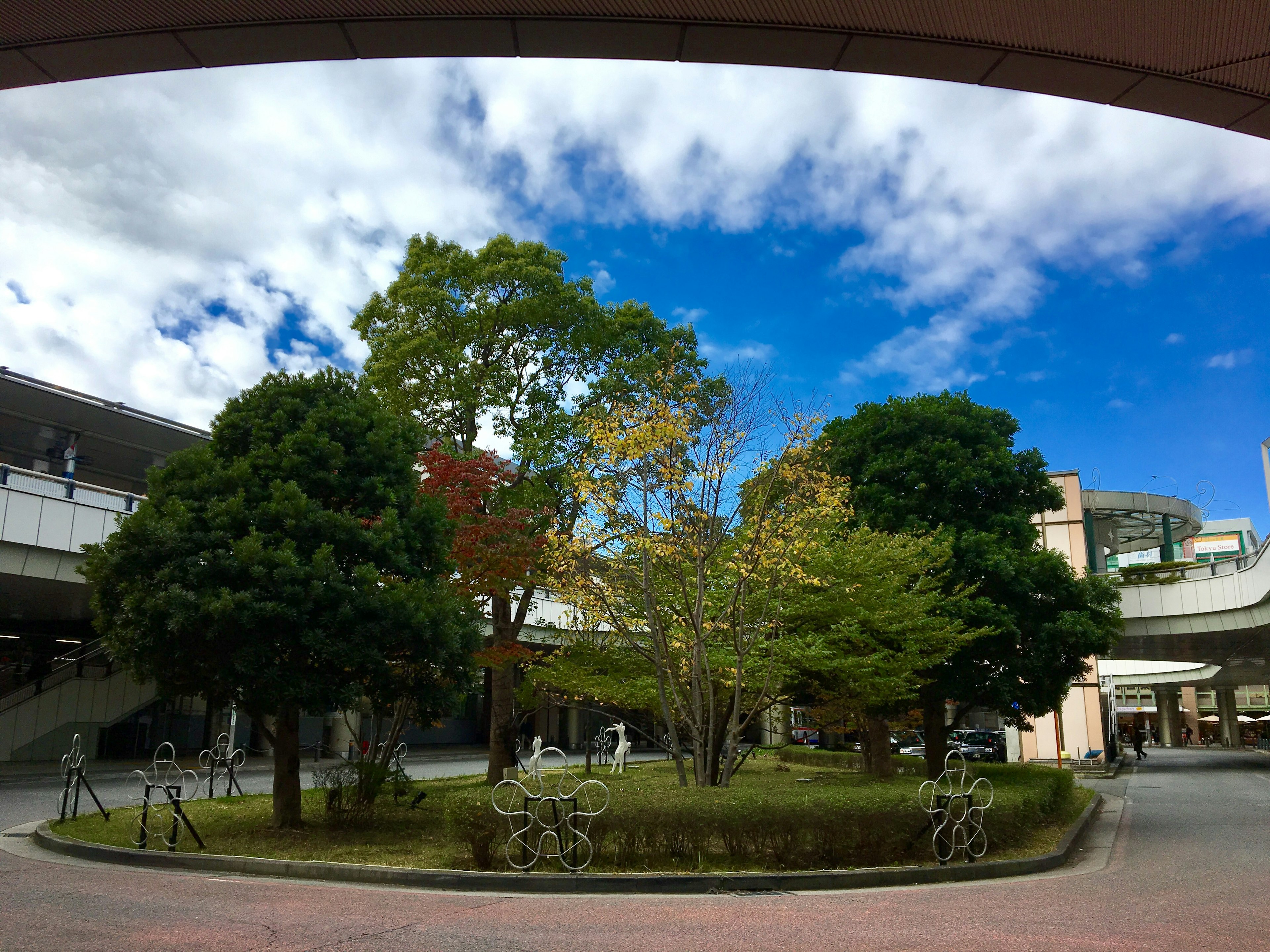 青空と雲が広がる公園の風景 緑豊かな木々と彫刻が配置された庭