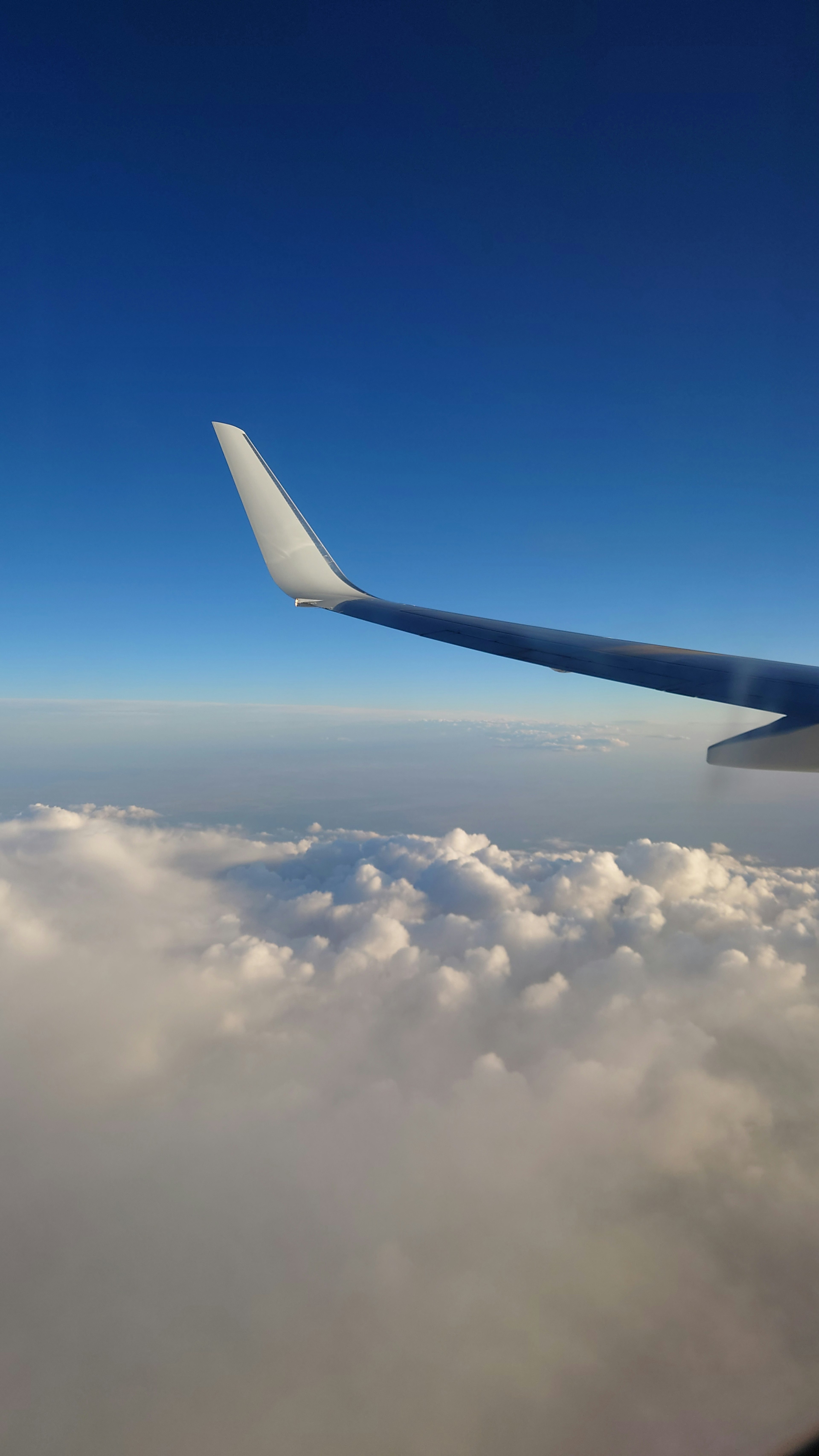 Airplane wing above fluffy clouds against a clear blue sky