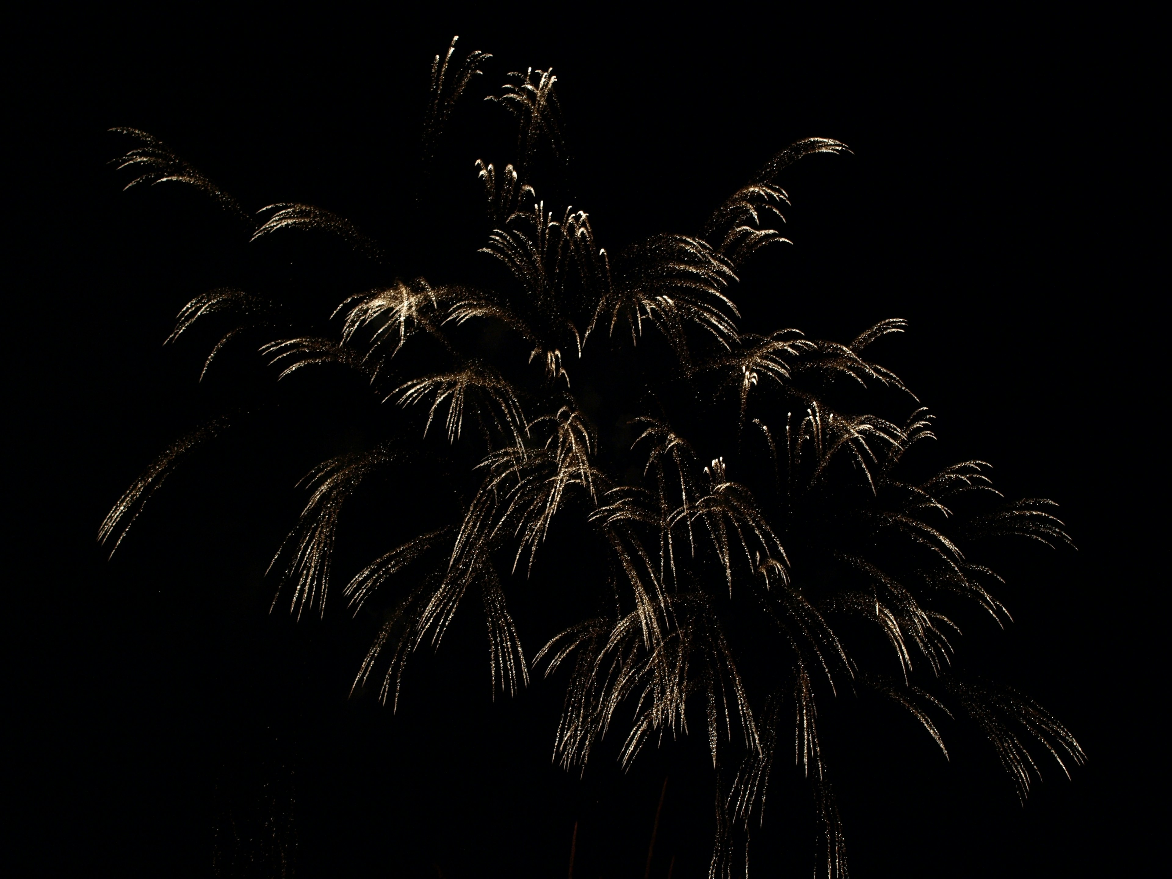 Espectáculo de fuegos artificiales vibrantes sobre fondo oscuro