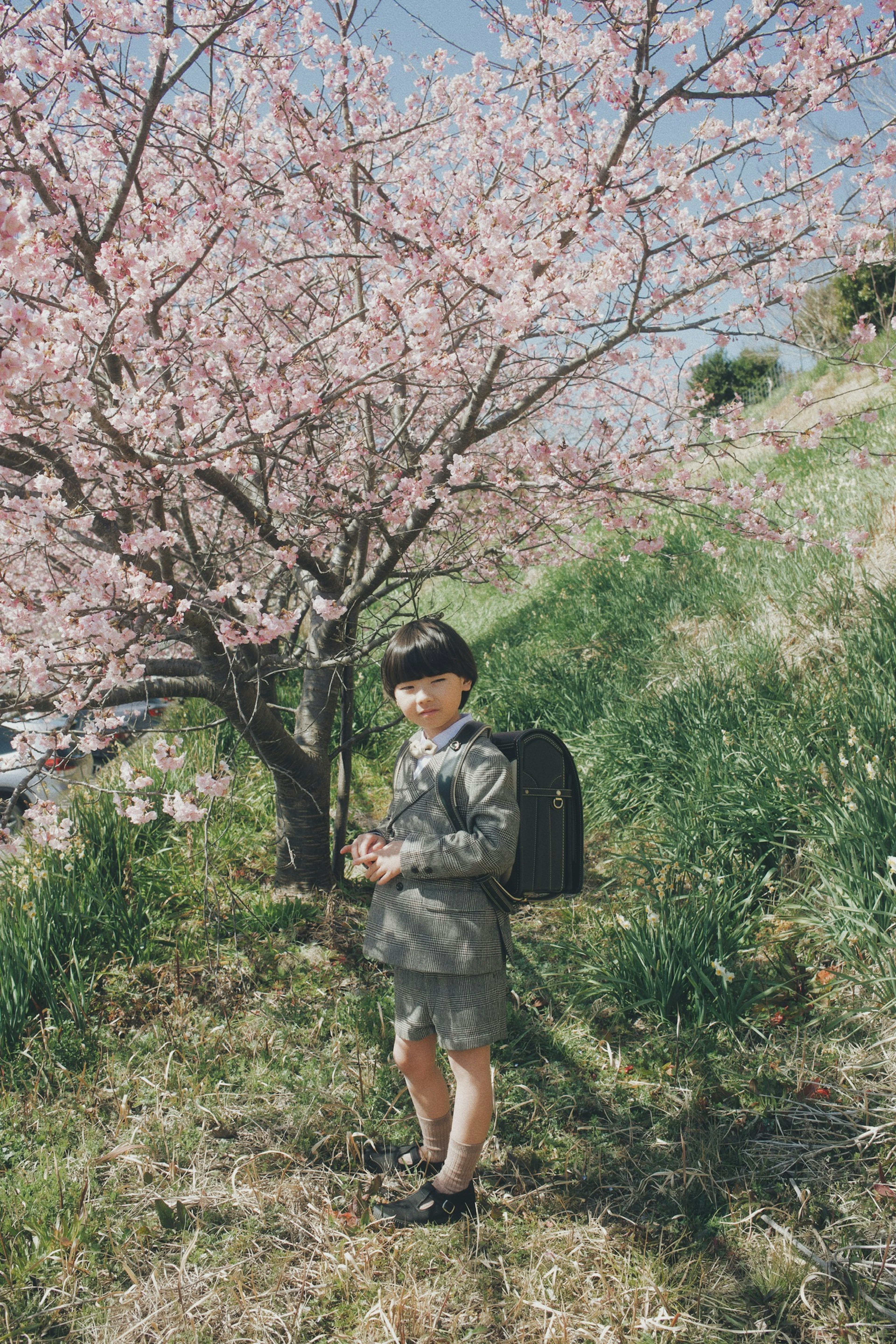 Kind steht vor einem blühenden Kirschbaum mit einem Rucksack im Frühling