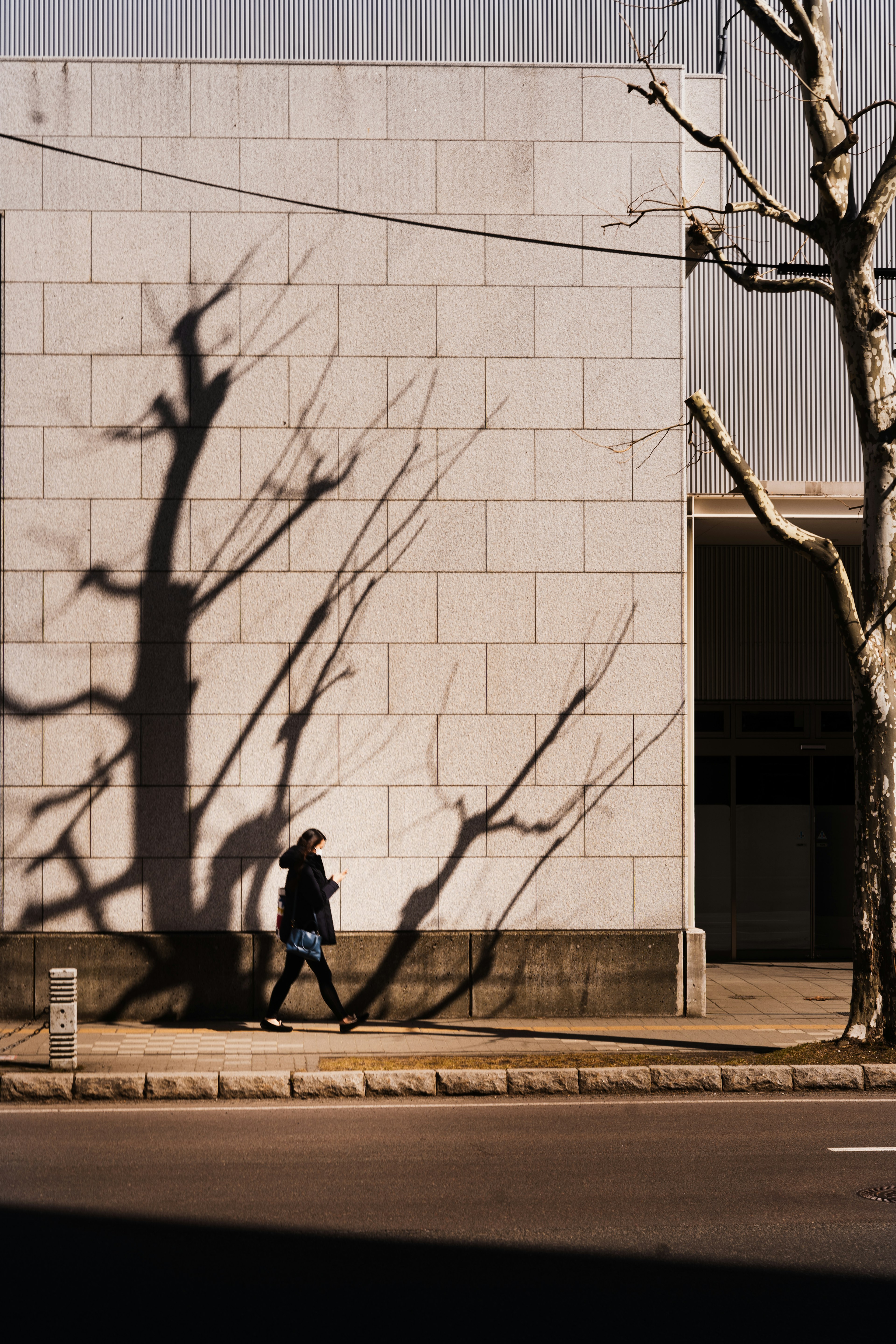 Une personne marchant devant un bâtiment avec des ombres d'arbres