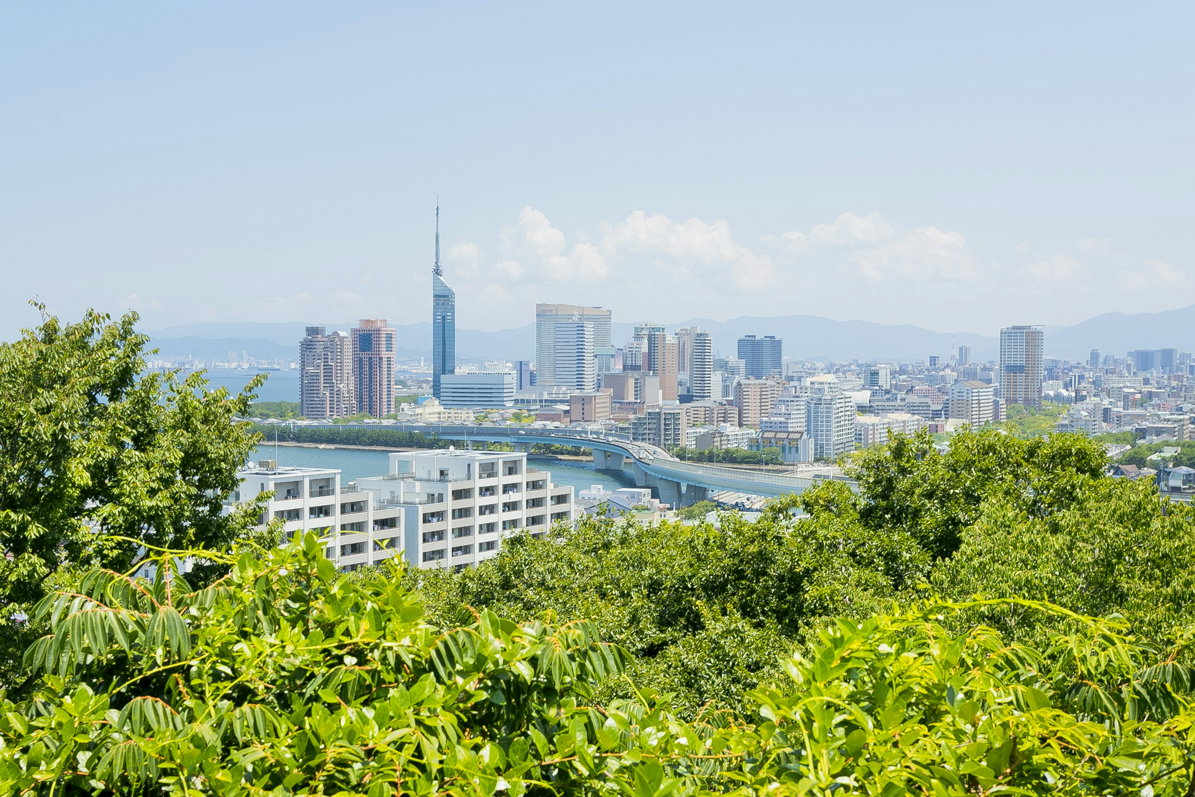 Pemandangan panorama kota dengan Tokyo Skytree terlihat di antara pepohonan hijau