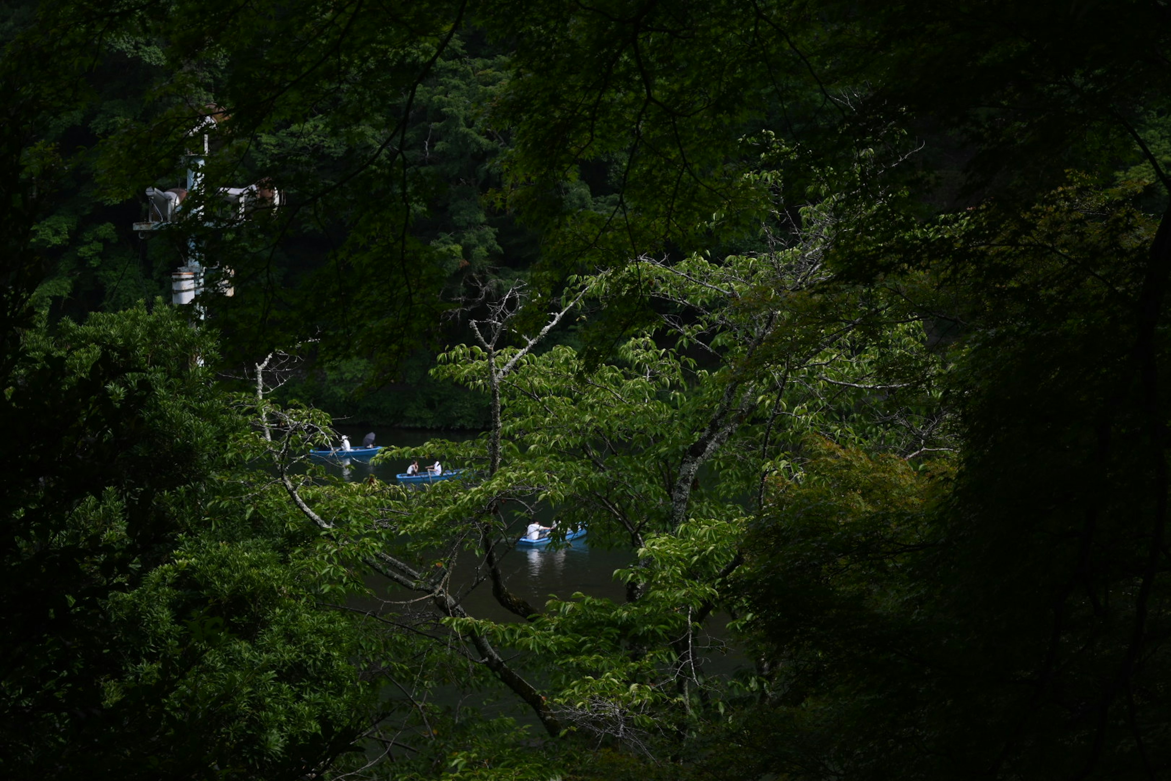 photo-tTkNw7g2zSSw8mljfLsX-image