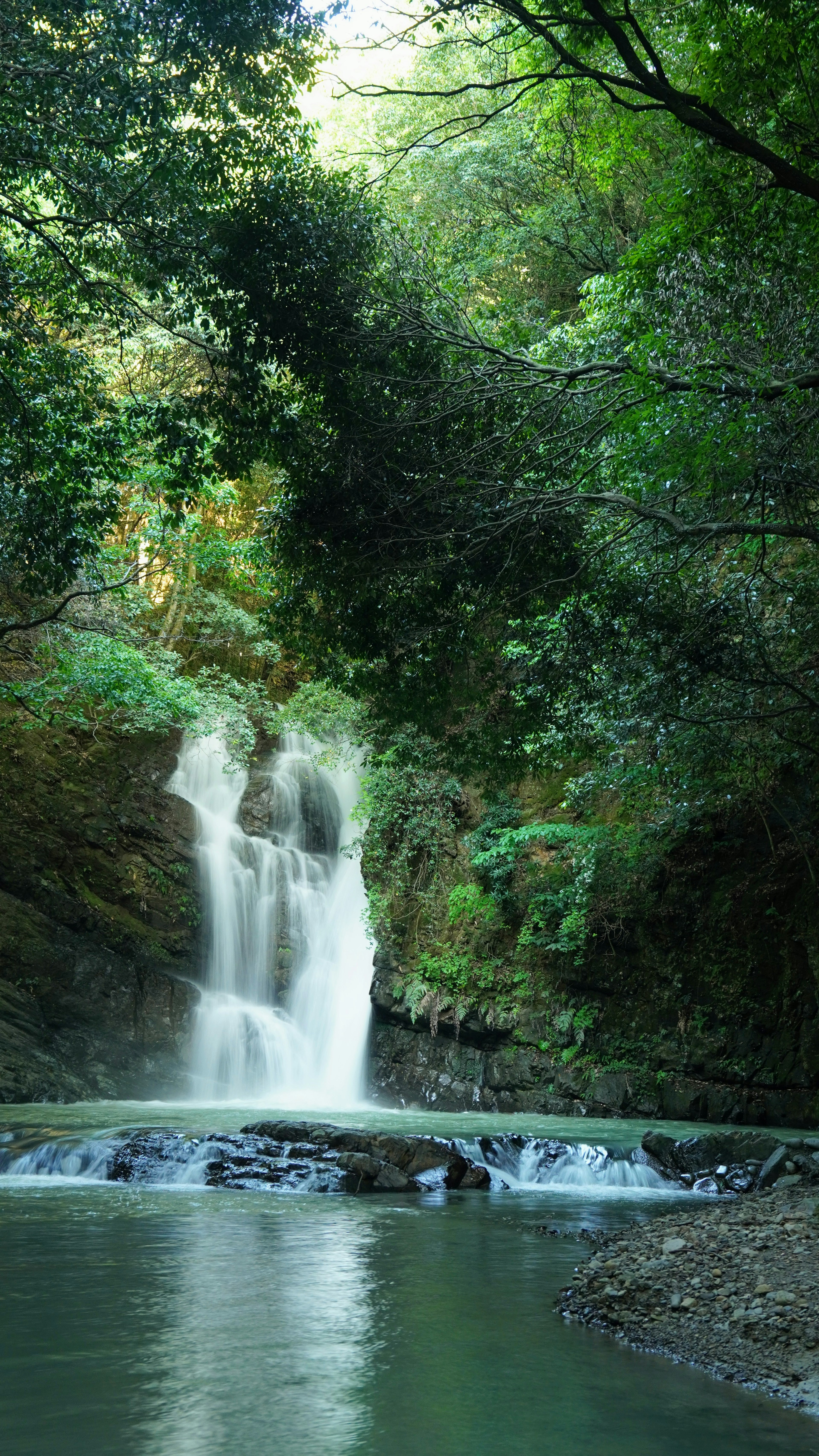 Wasserfall umgeben von üppigem Grün und ruhiger Wasseroberfläche