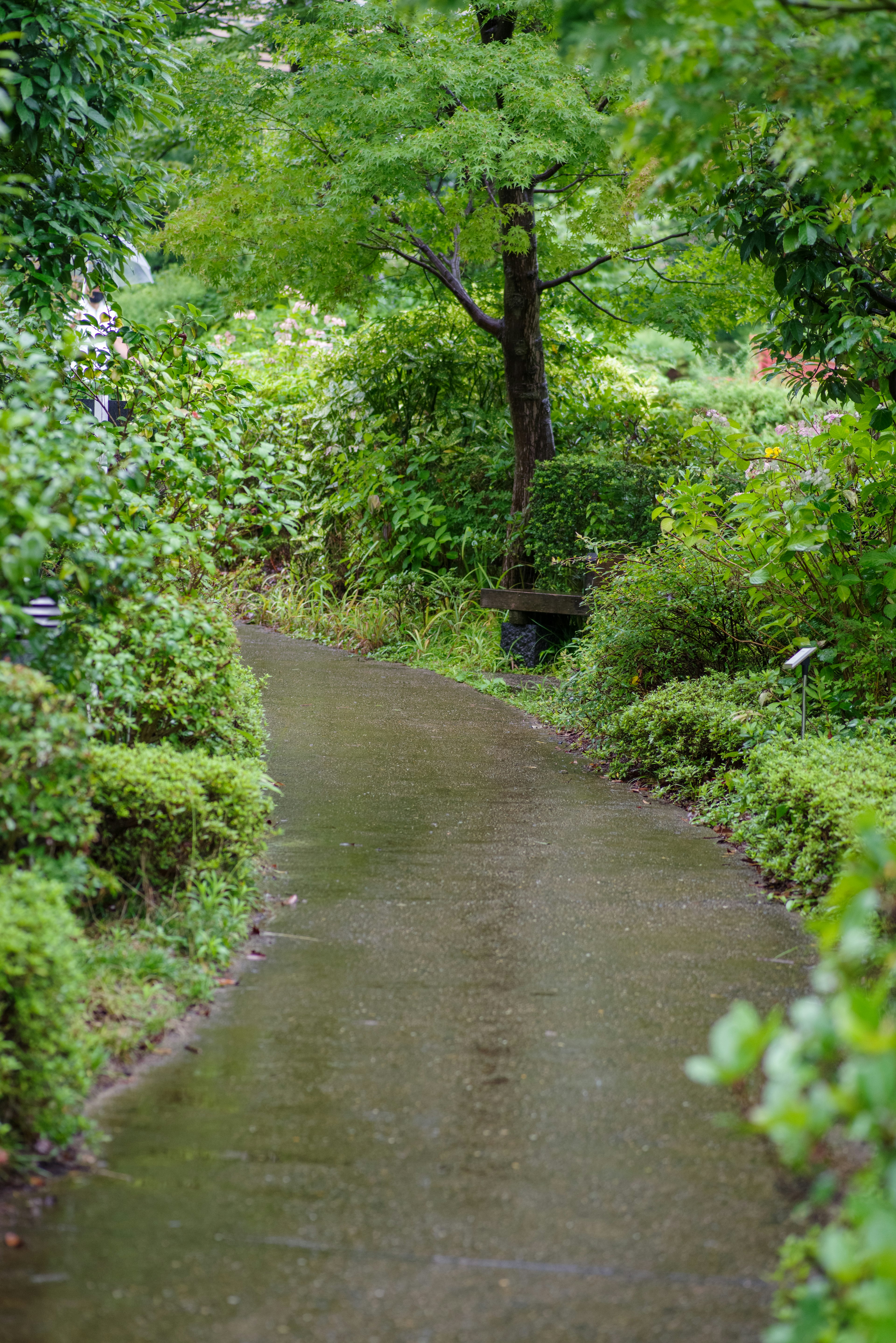 A serene garden path with flowing water surrounded by lush greenery