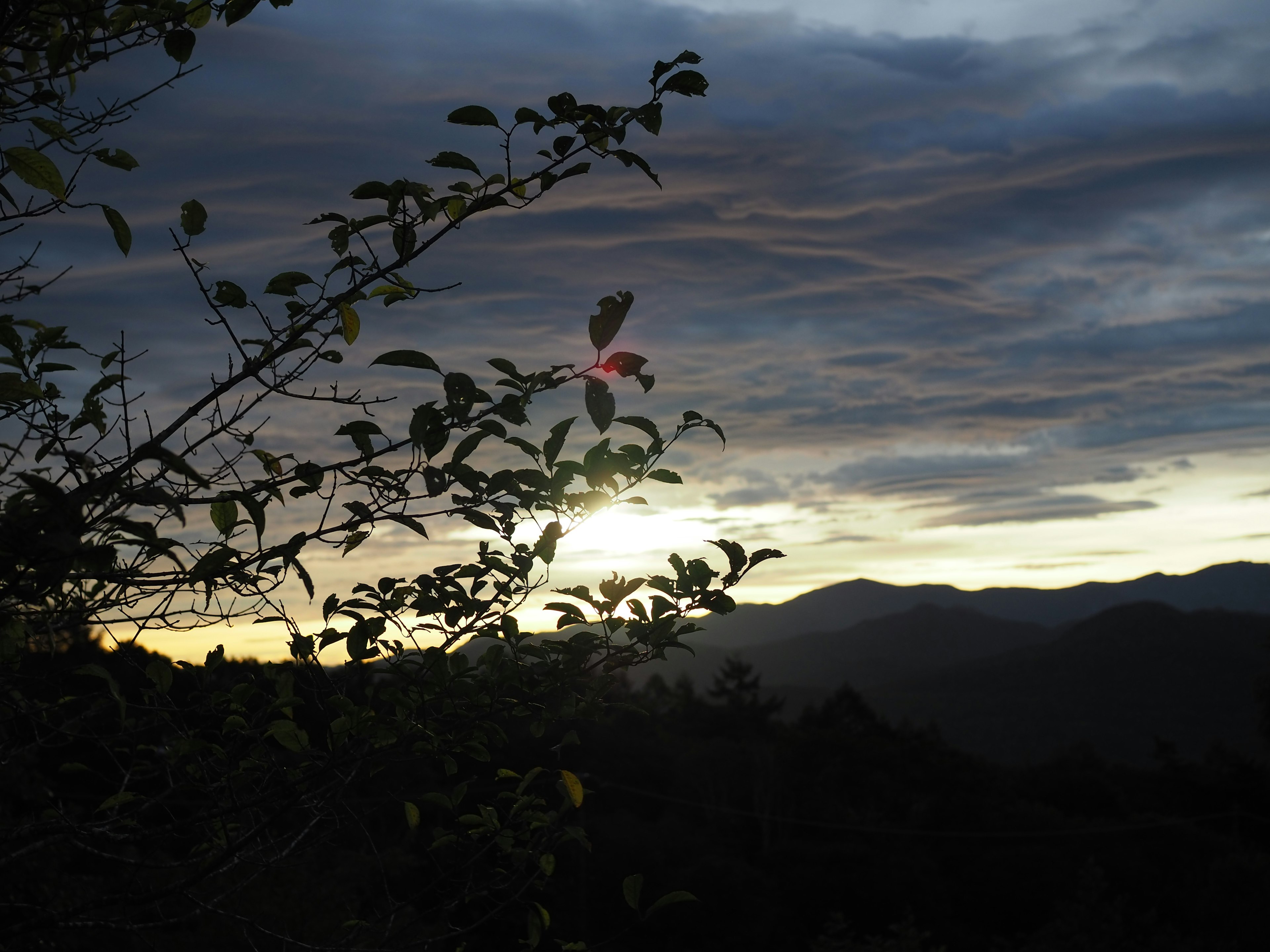 Silhouette des montagnes au crépuscule avec des contours de feuilles