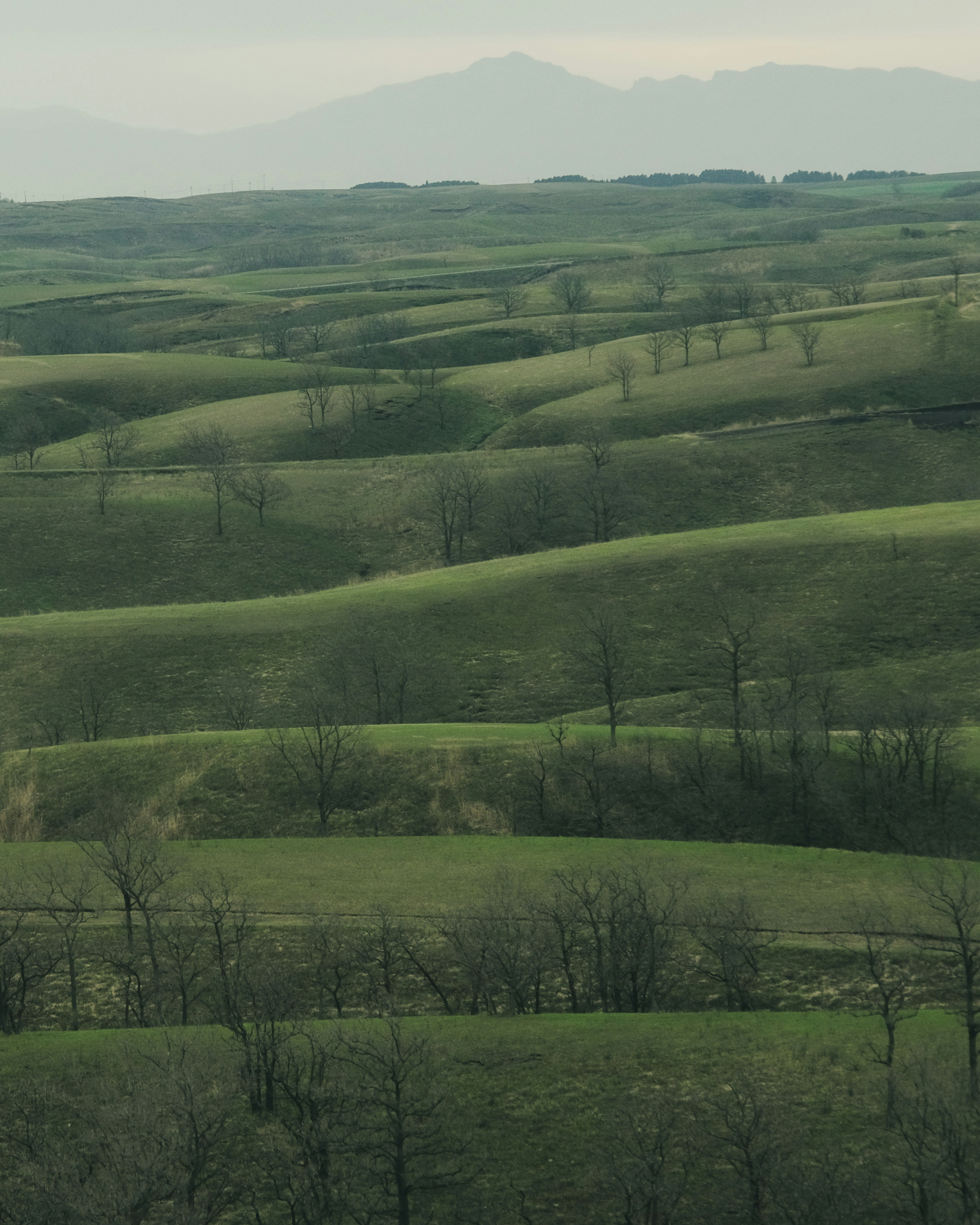 Colline verdi ondulate con montagne lontane sullo sfondo