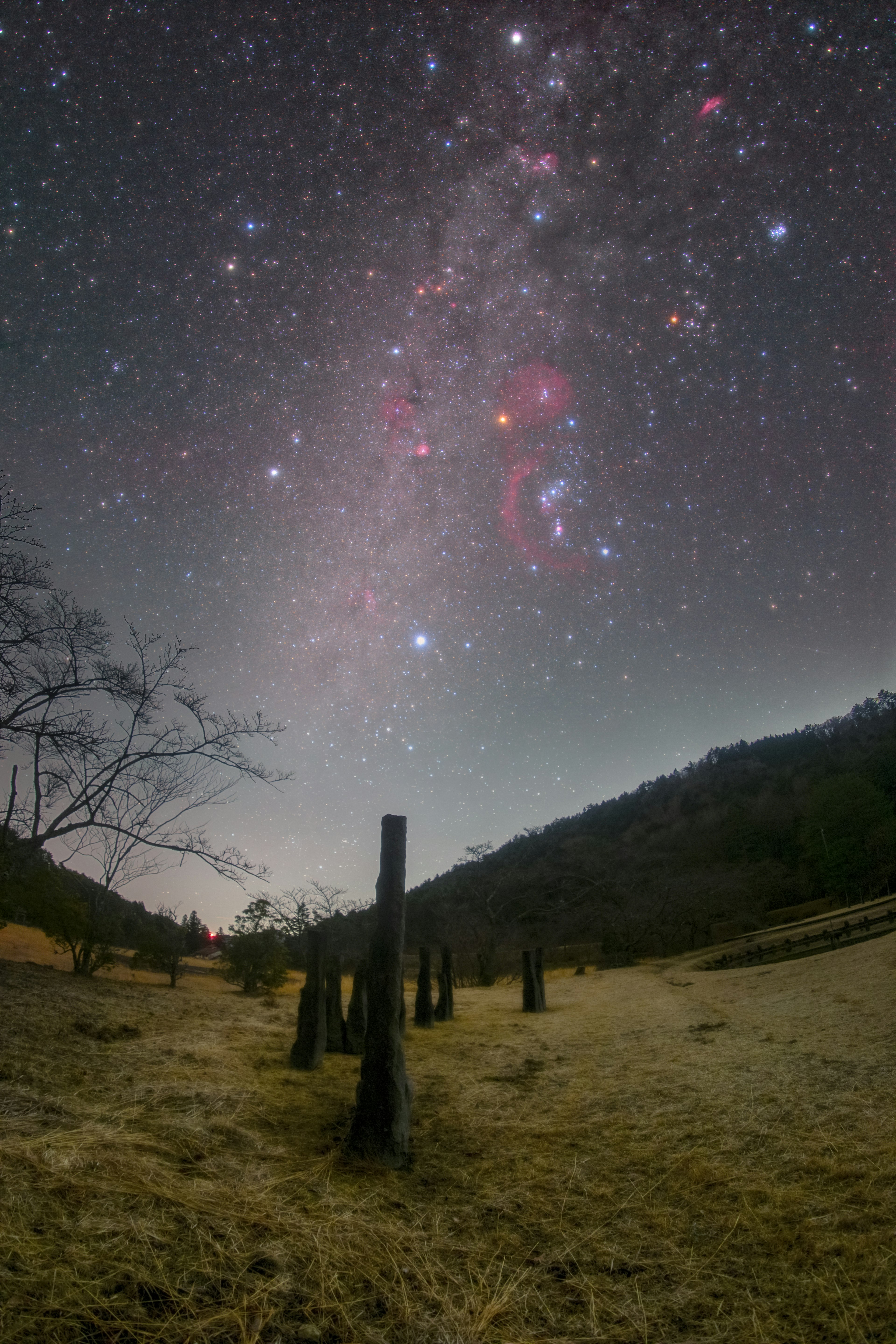 夜空に広がる星々とオリオン座が見える風景