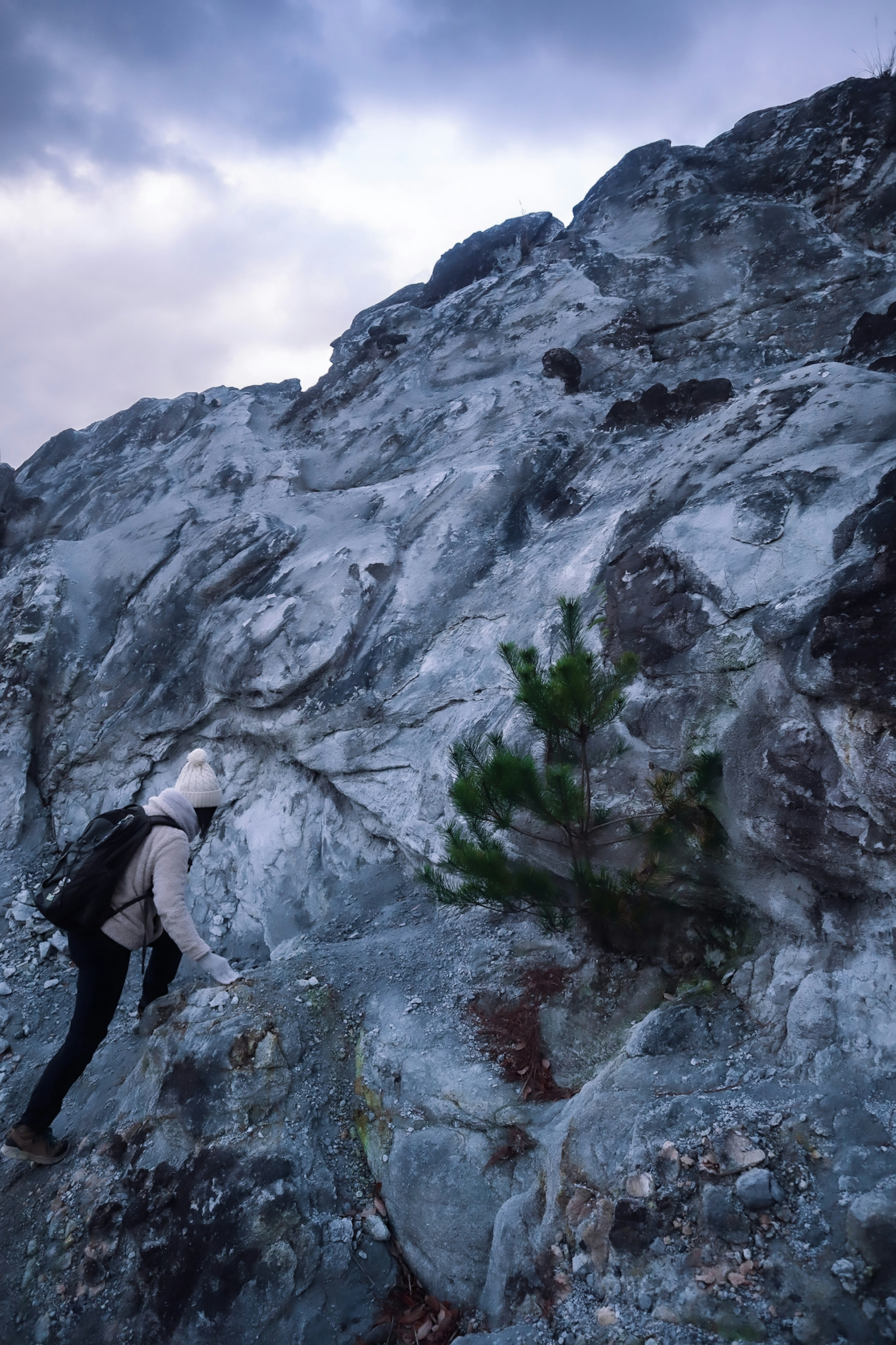 Climber ascending a rocky surface with a small tree