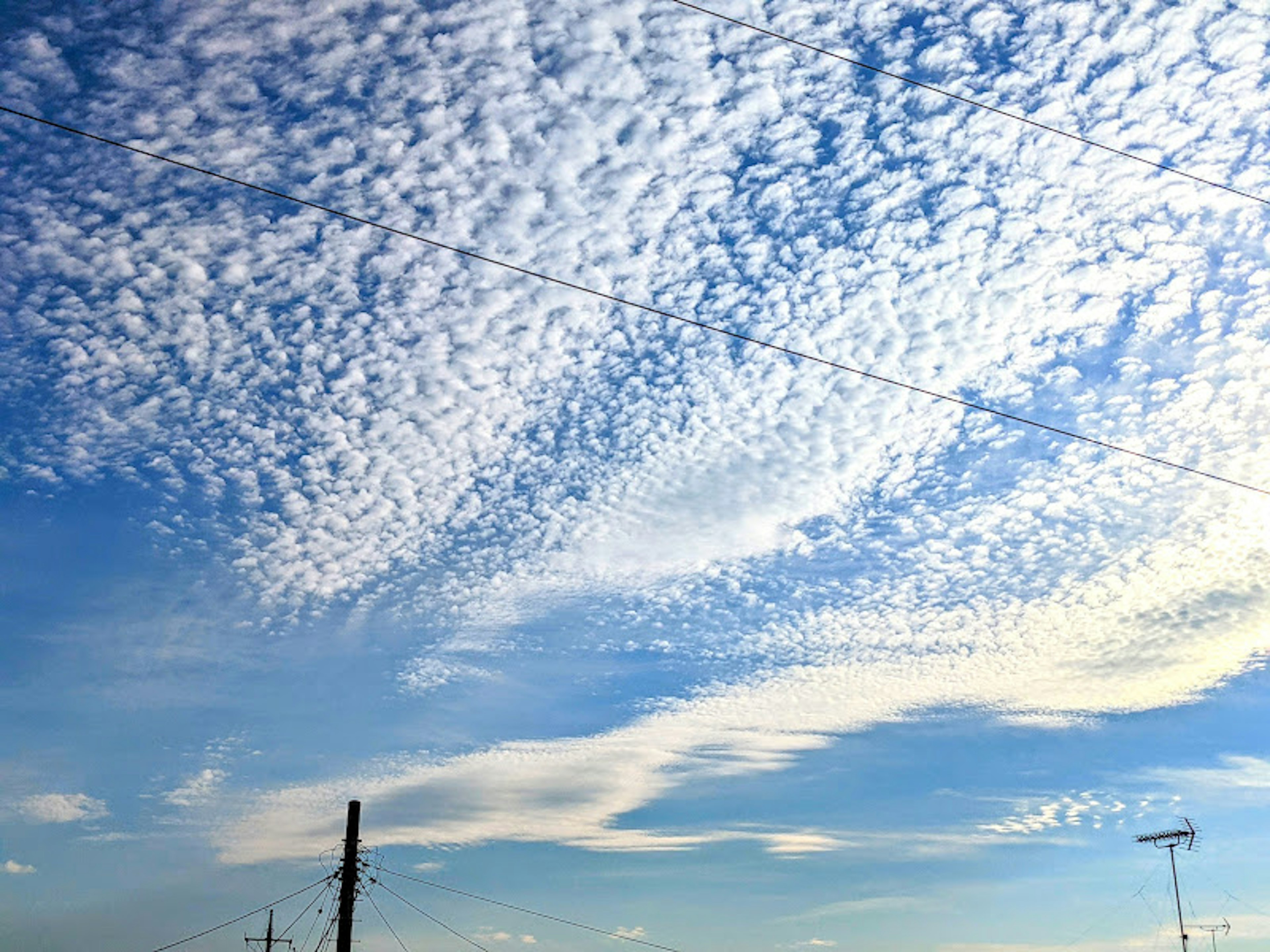 青空に広がる雲の模様と電柱