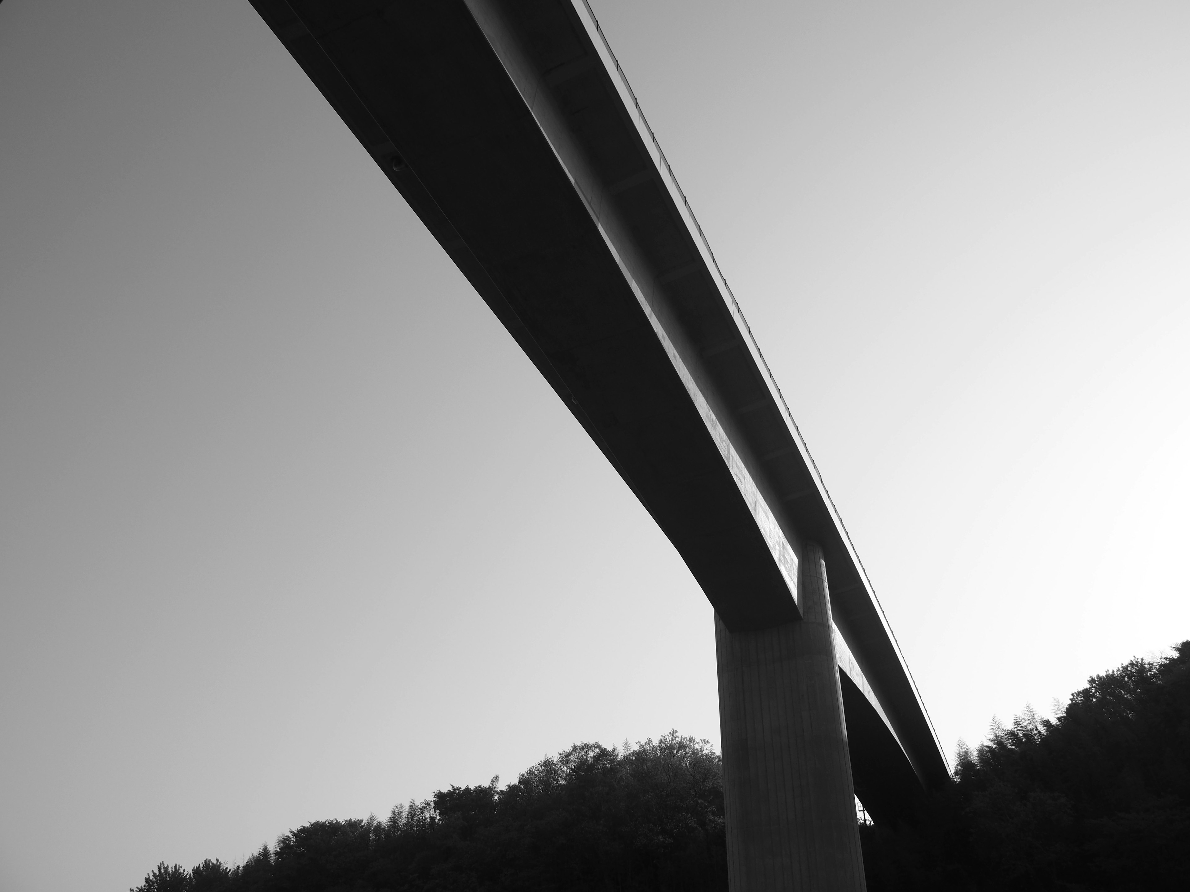 Image en noir et blanc d'une structure de pont vue en biais