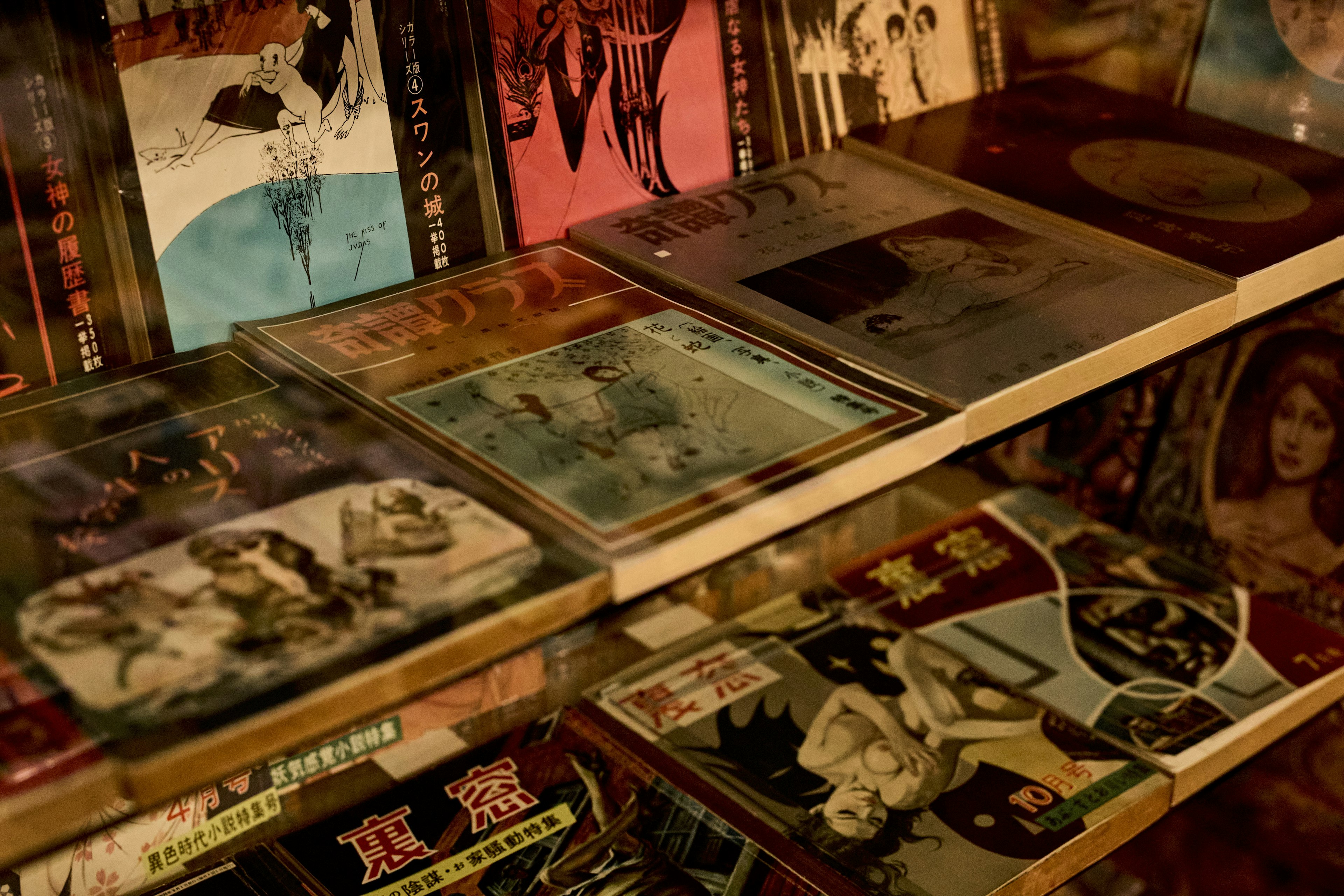 Close-up of a shelf displaying vintage records with diverse cover art