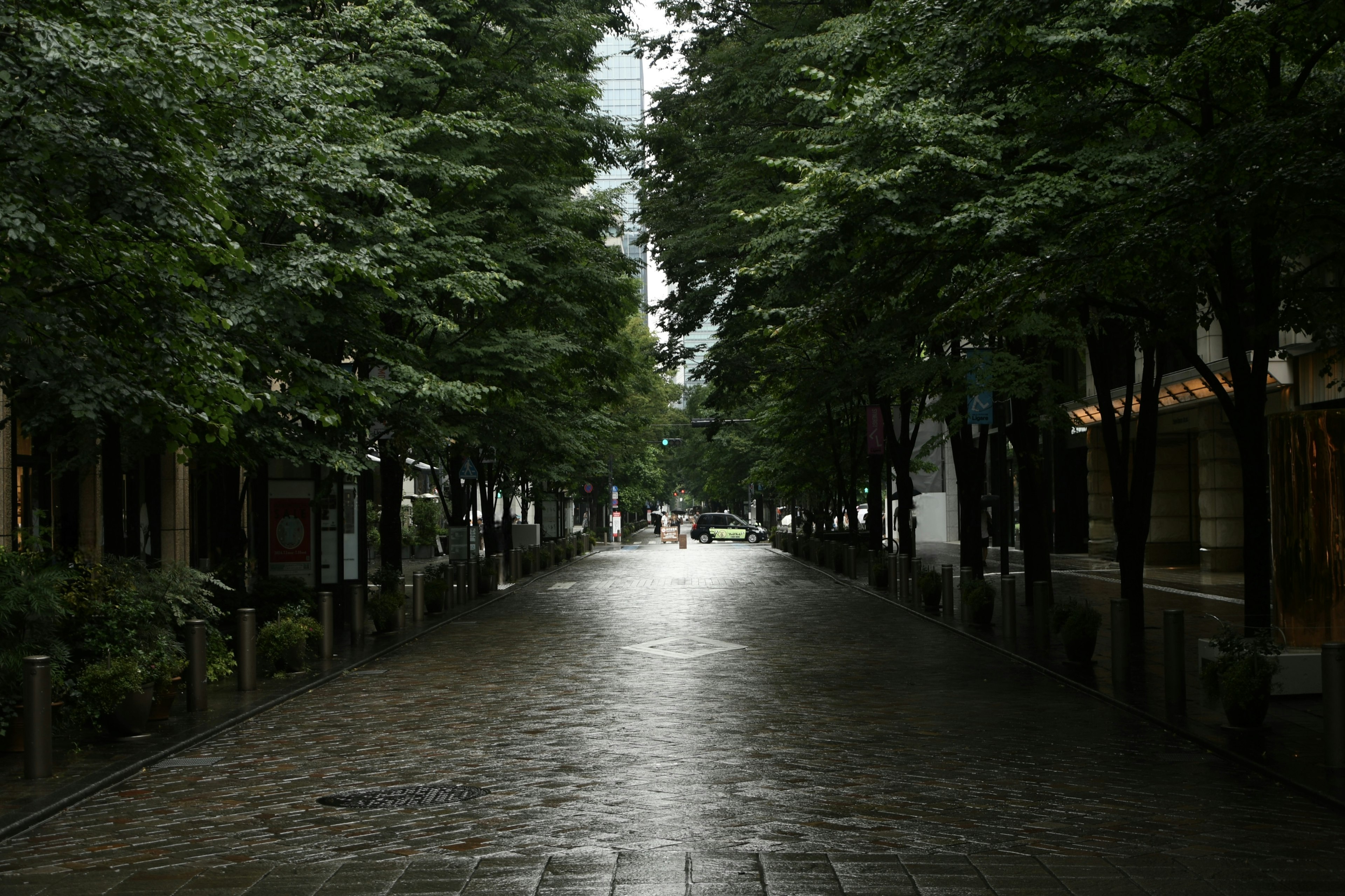 Scena di strada tranquilla circondata da verde Viale in ciottoli bagnato dalla pioggia