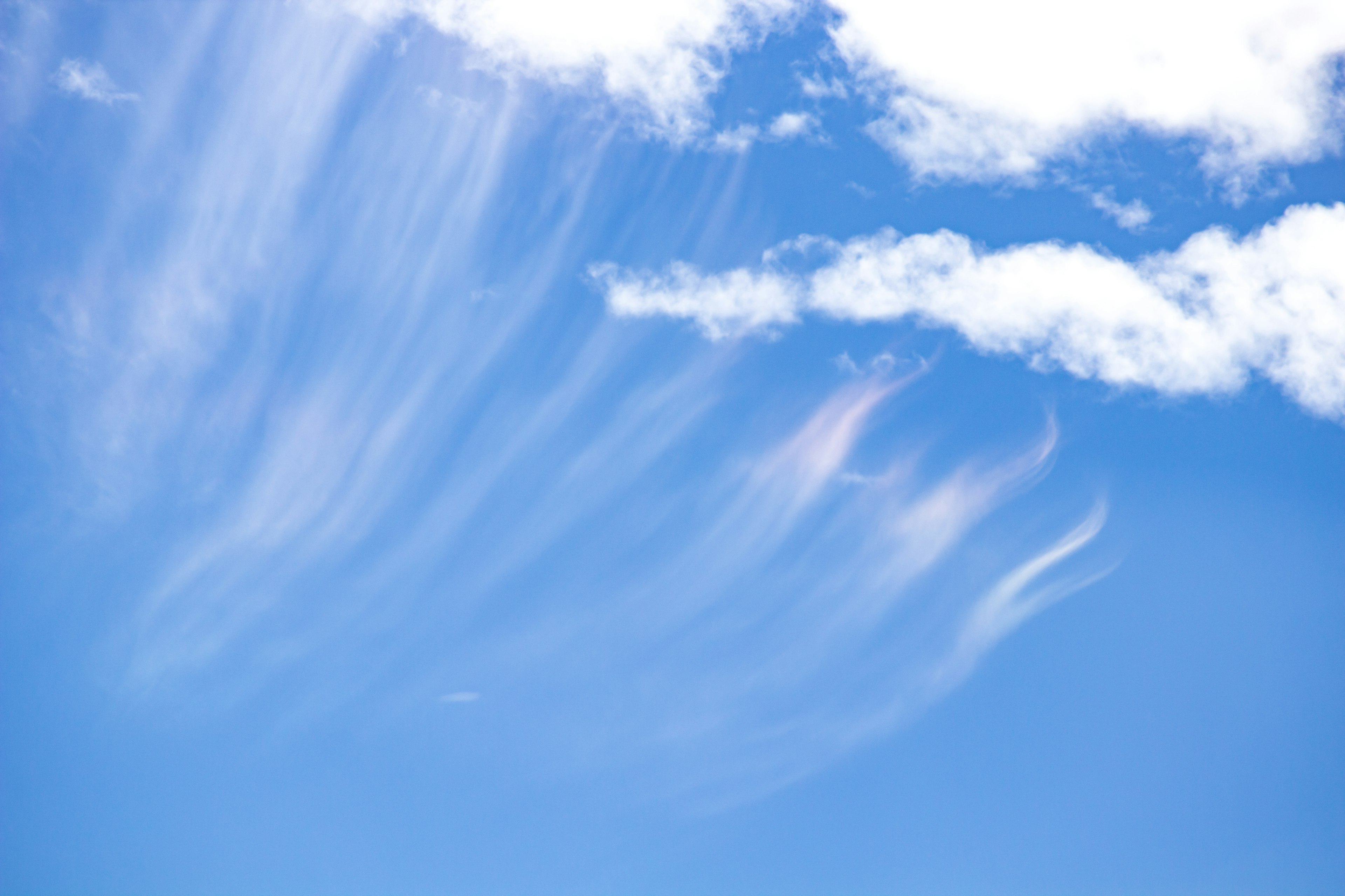 Thin wispy clouds stretching across a bright blue sky