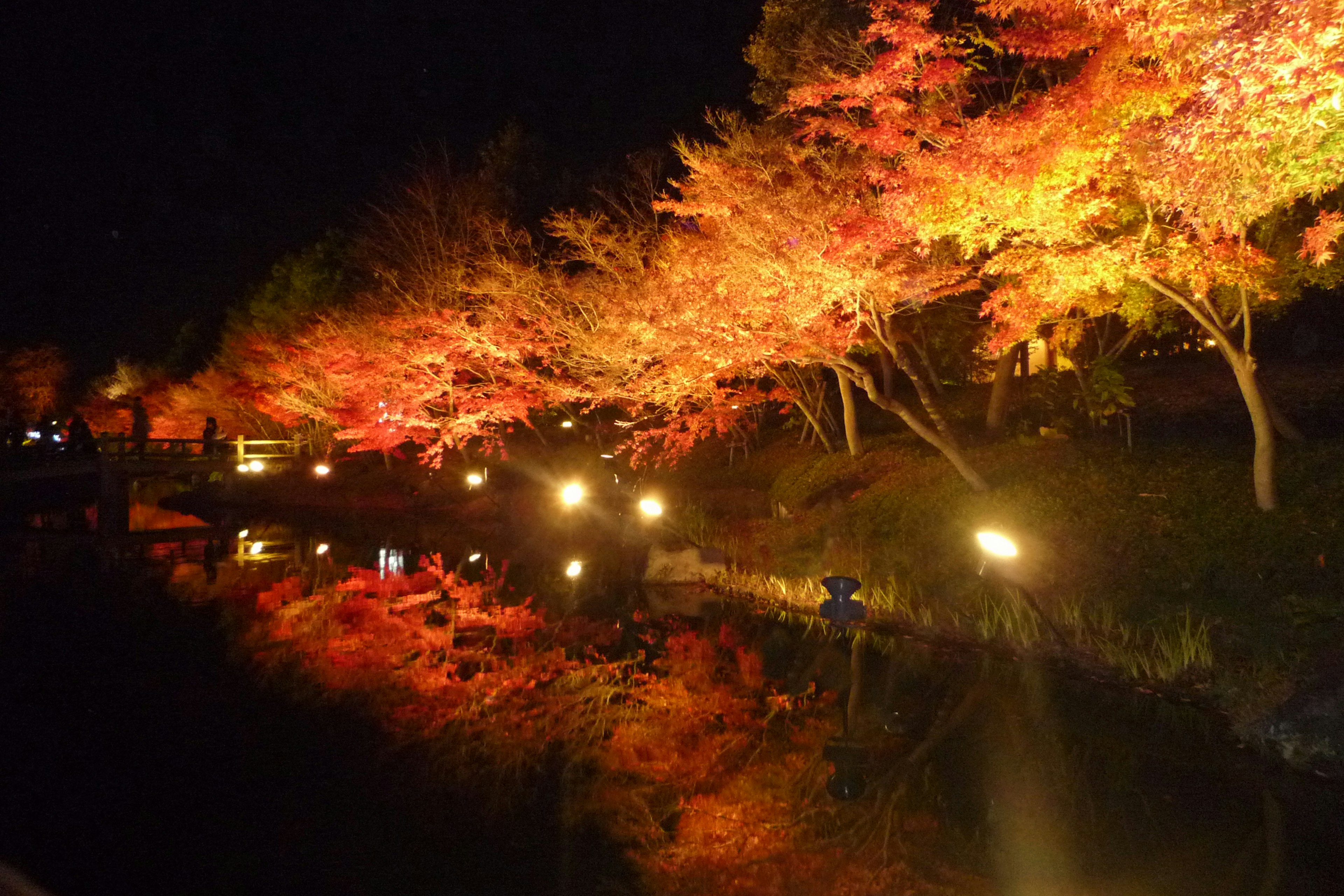 Escena nocturna de follaje otoñal con árboles de colores cálidos reflejándose en el agua