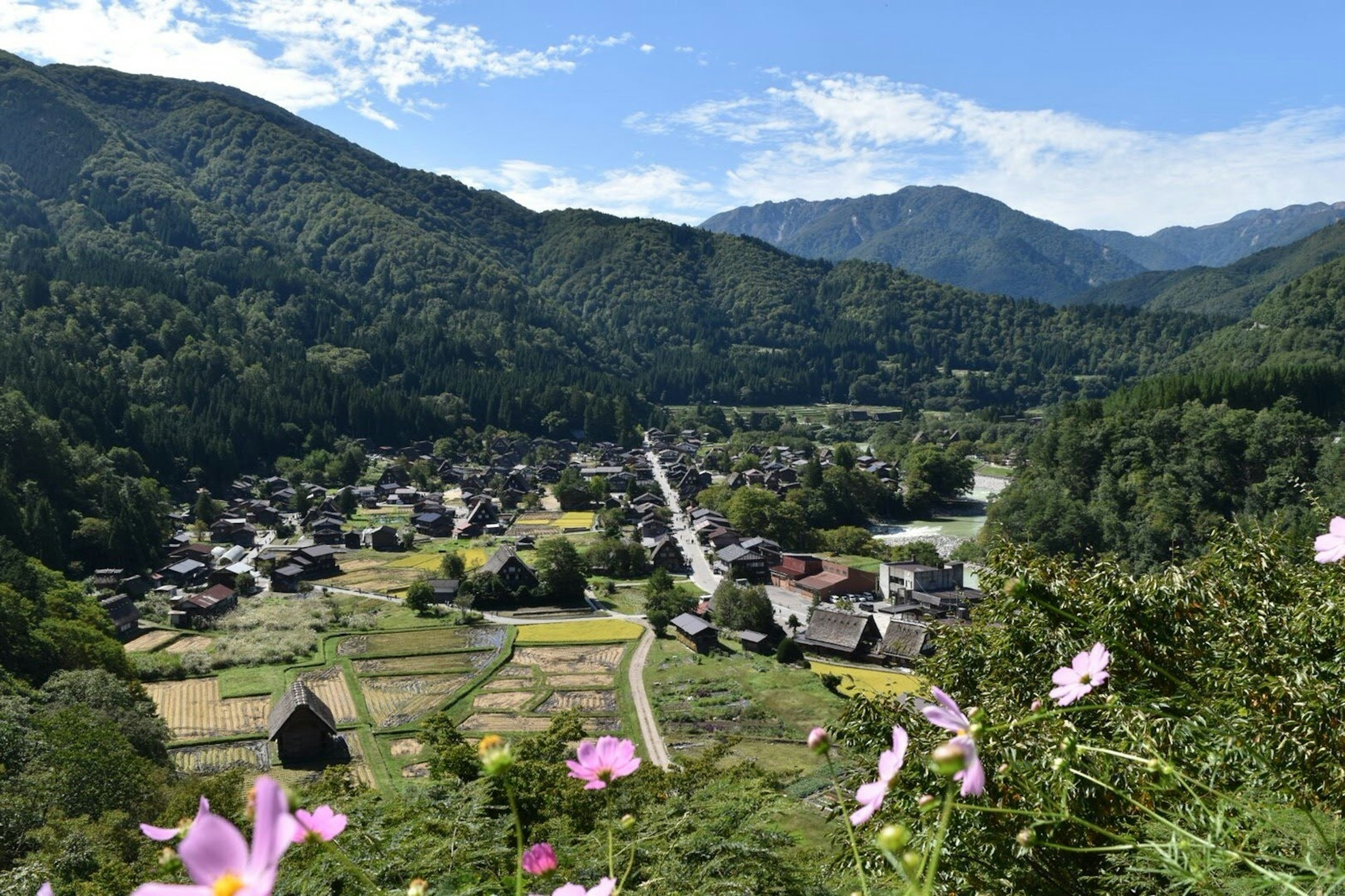 Paysage pittoresque d'un village entouré de montagnes avec des fleurs en fleurs au premier plan et un ciel bleu clair