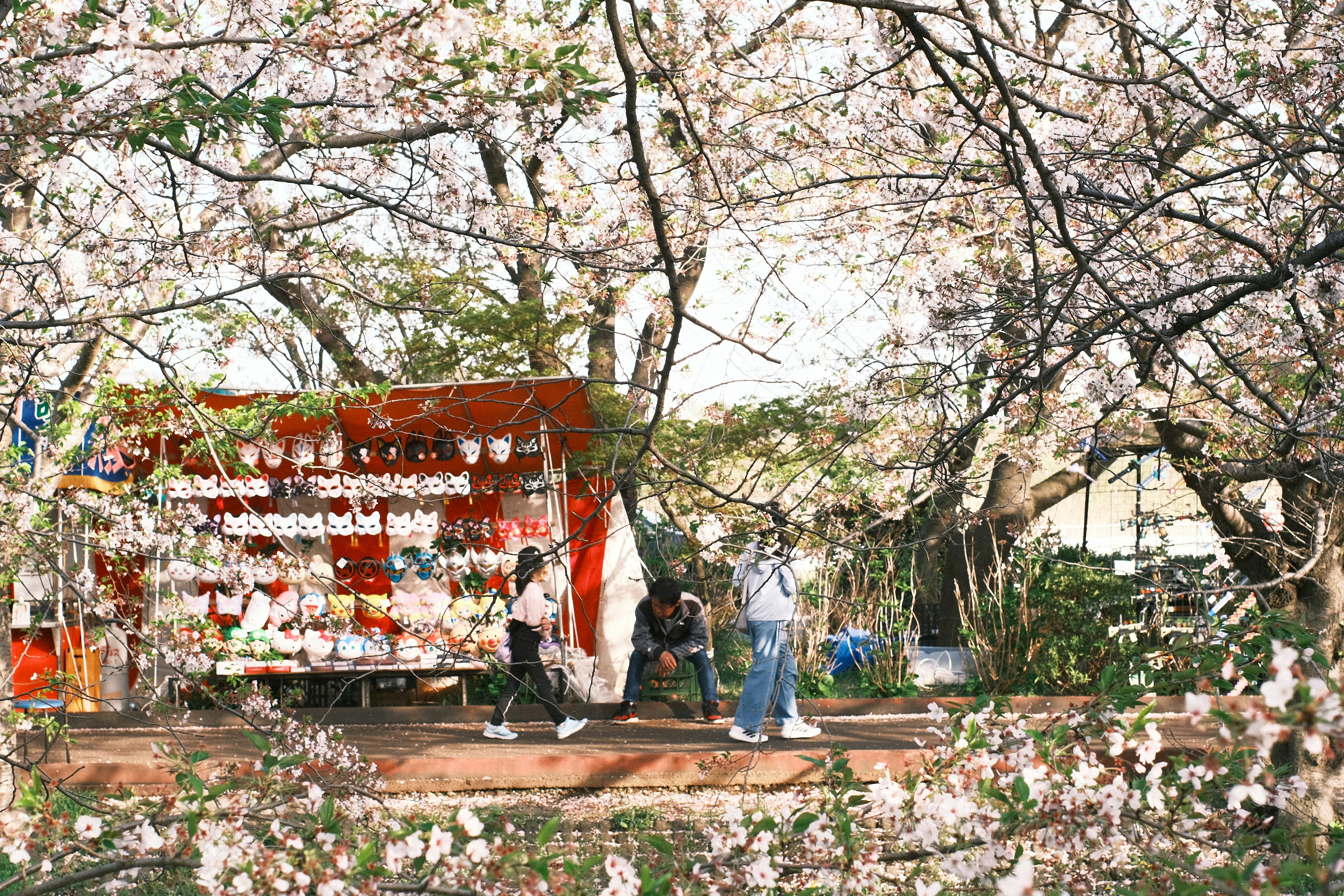 Escena con un puesto de comida bajo cerezos en flor y personas caminando