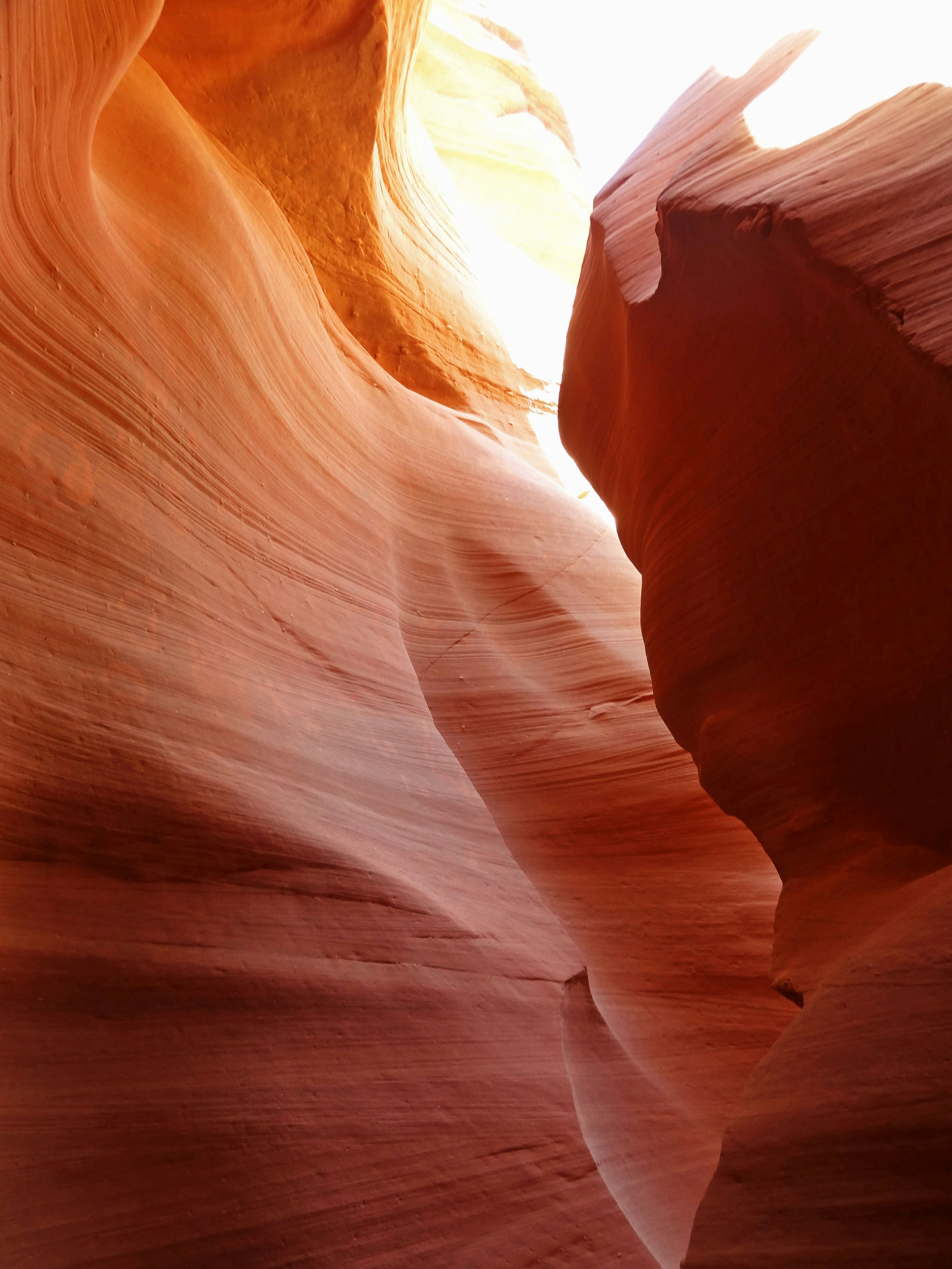 Intérieur magnifique d'un canyon de roche rouge avec des courbes douces et un contraste de lumière saisissant