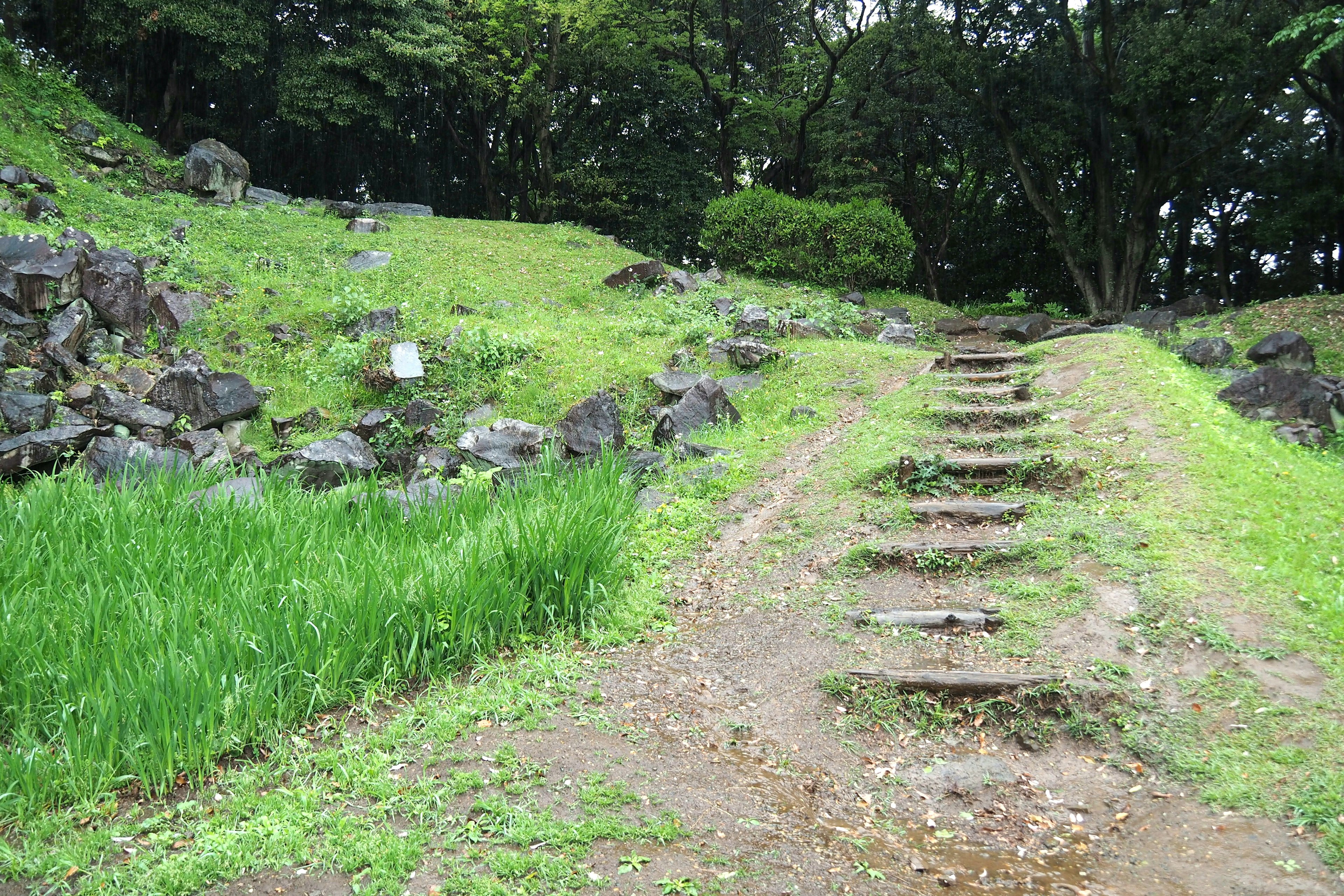 Pemandangan dengan tangga batu dikelilingi rumput hijau dan batu