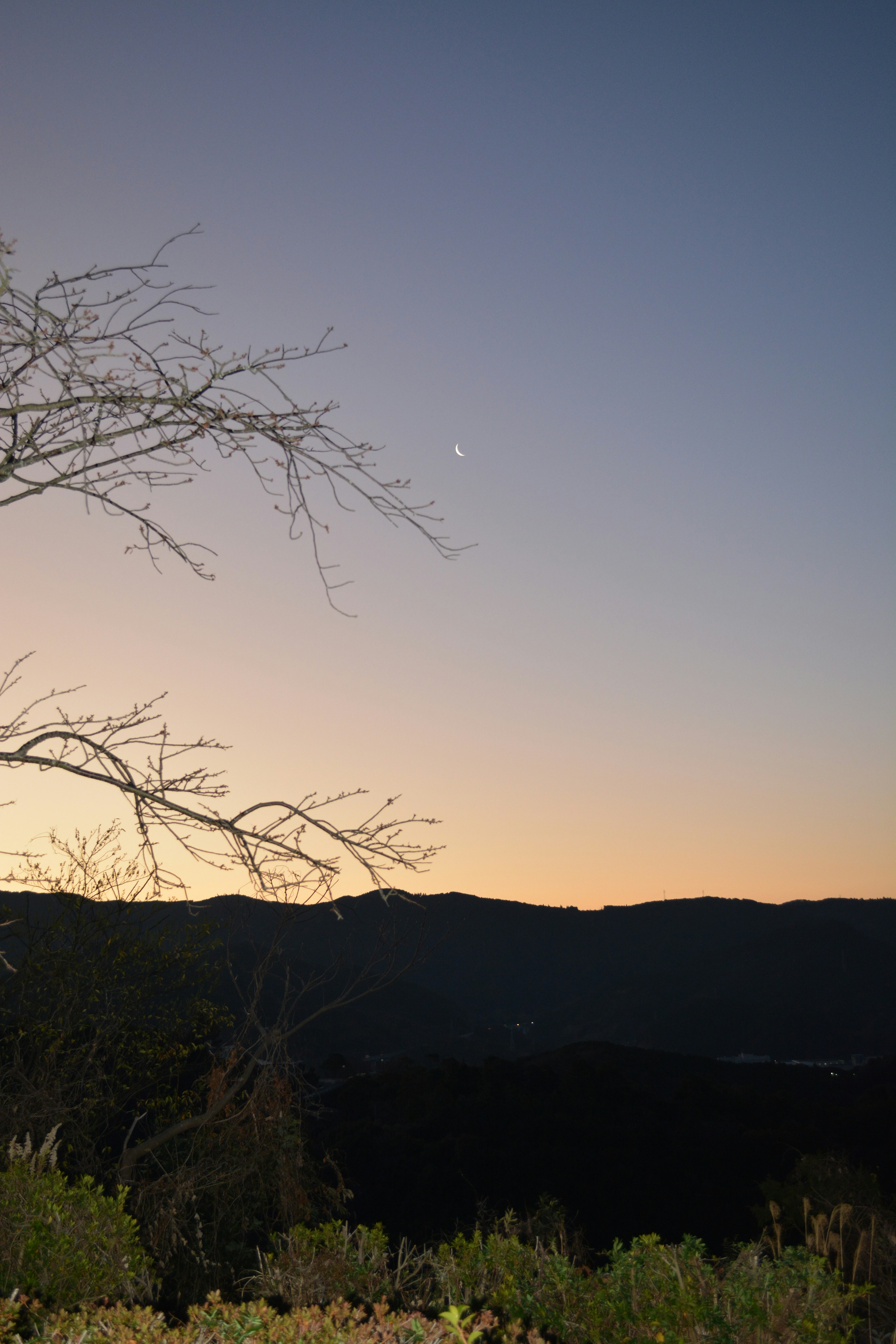 黄昏天空中可见的月亮和星星在山上方