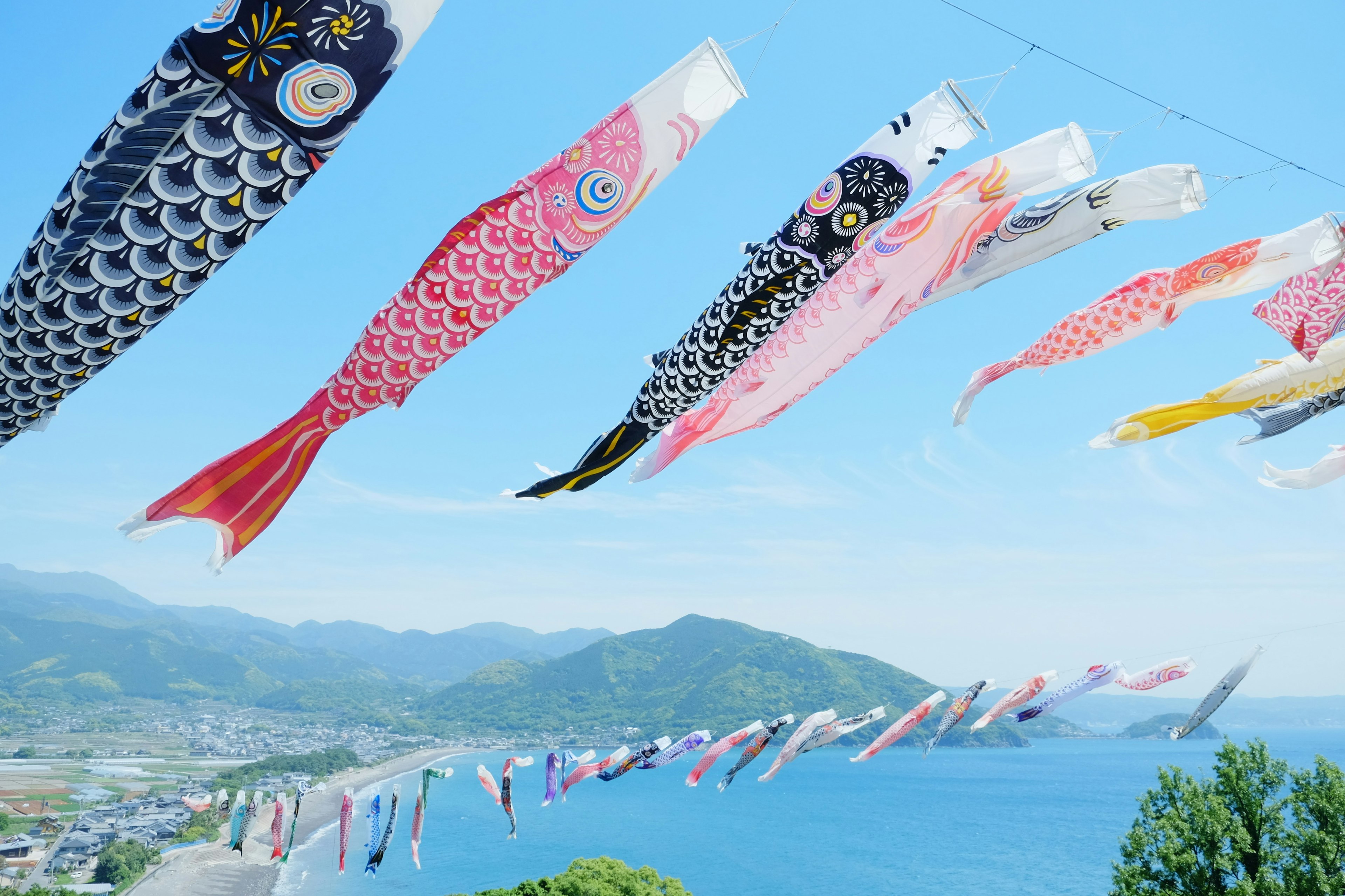 Koi nobori colorati che volano nel cielo blu