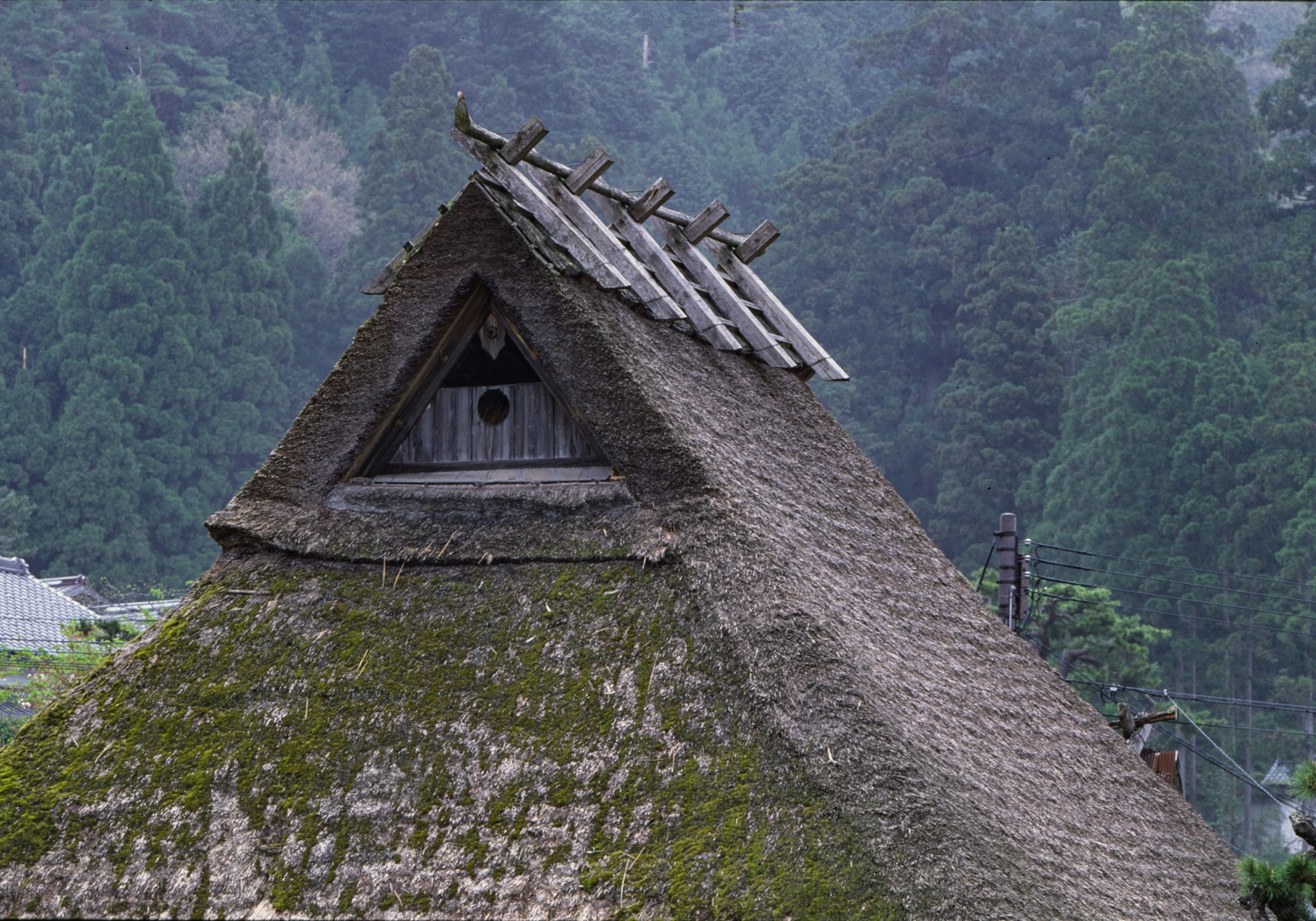 Traditional Japanese house roof with moss-covered thatch and wooden structure