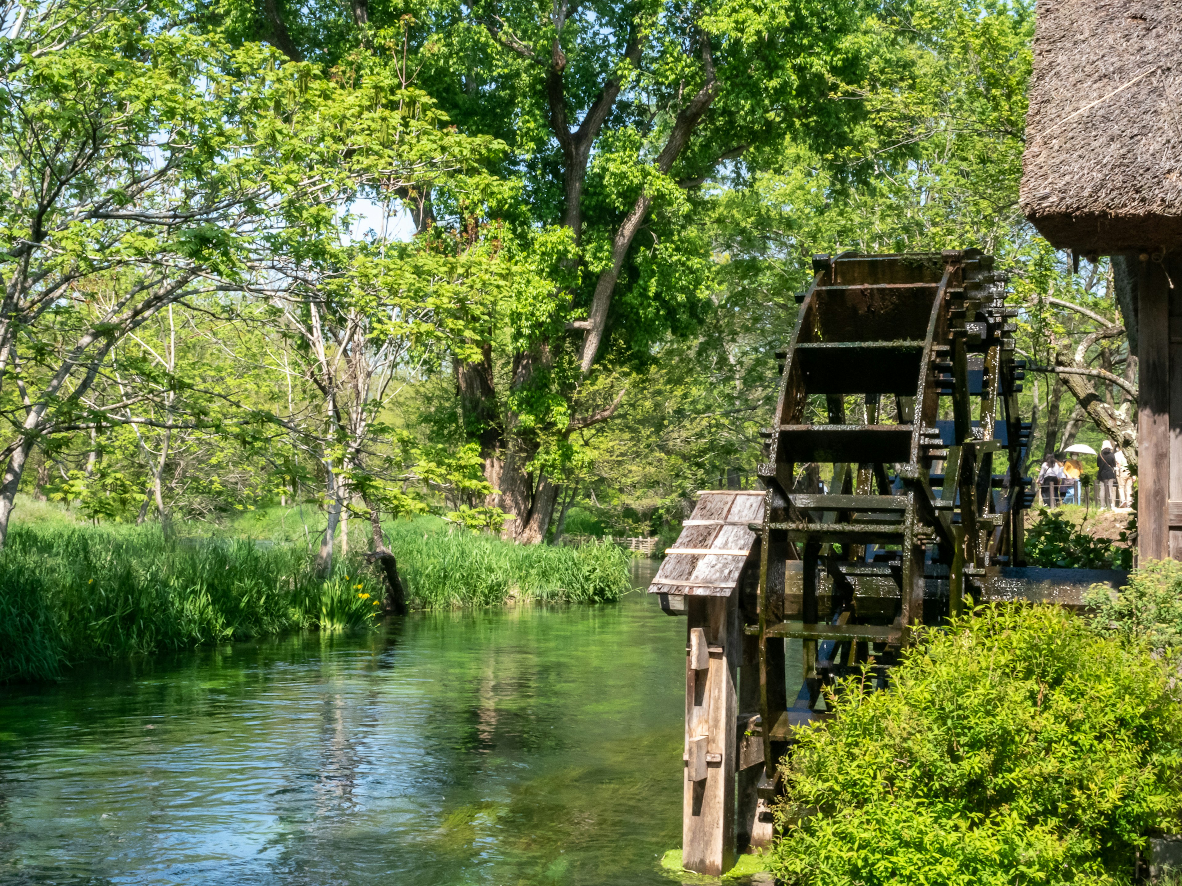 Malersicher Blick mit einer Wassermühle und üppigem Grün