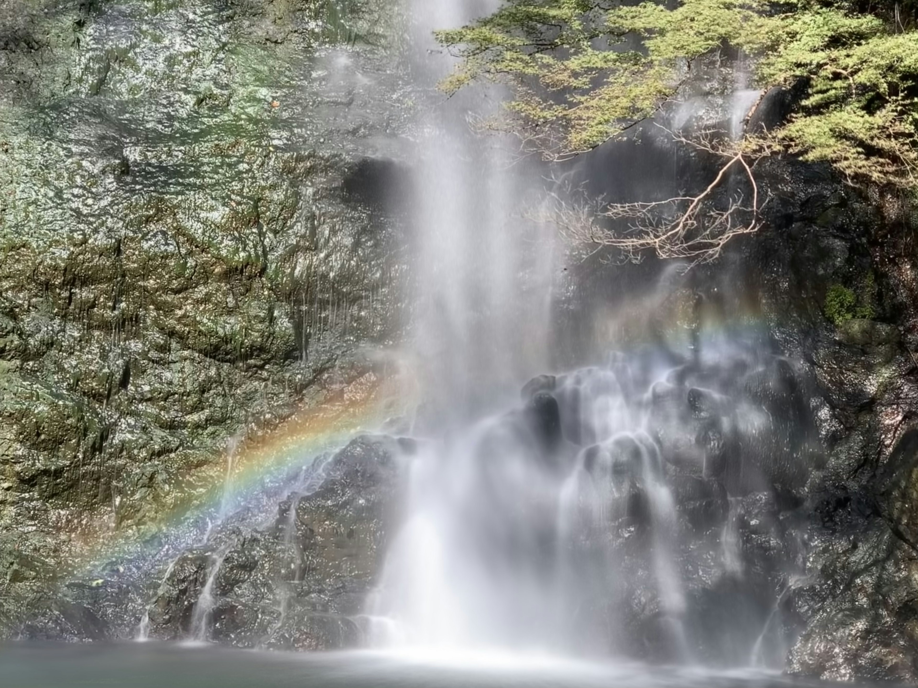 A beautiful waterfall with a rainbow against a lush green rocky backdrop