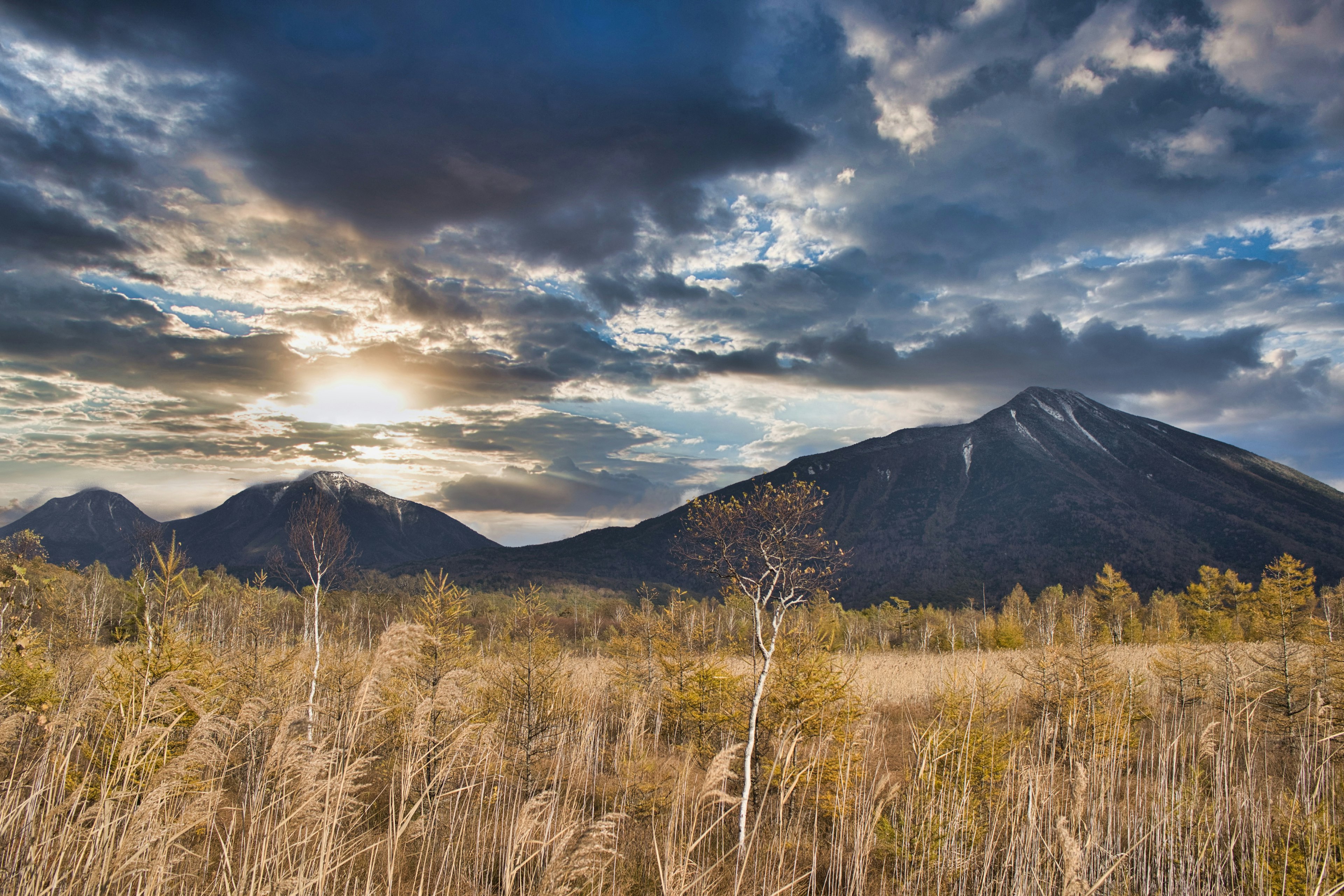 Landscape featuring mountains and tall grass with sunset