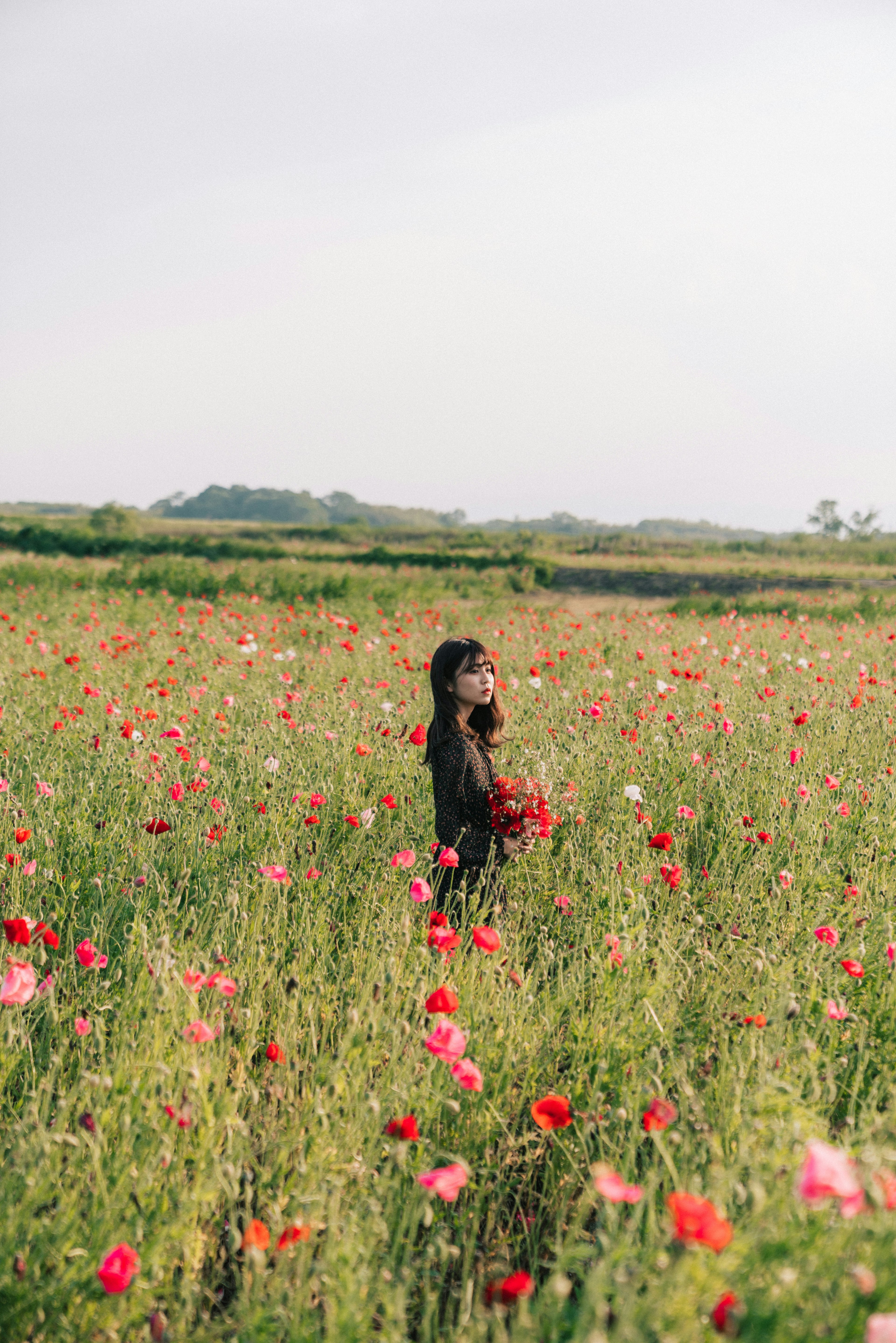 Silueta de una niña de pie en un campo de flores coloridas