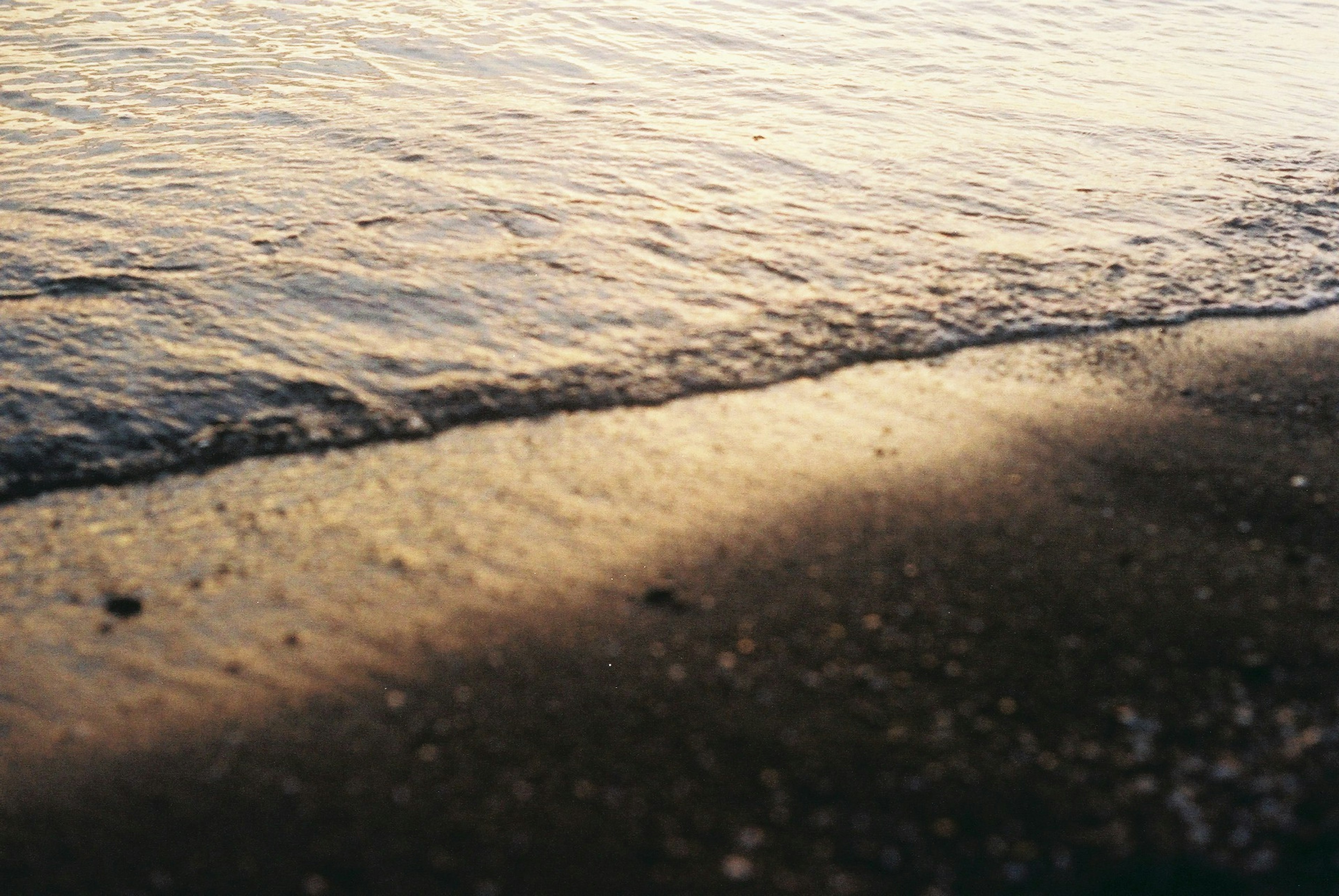 Waves gently lapping on a sandy beach at sunset