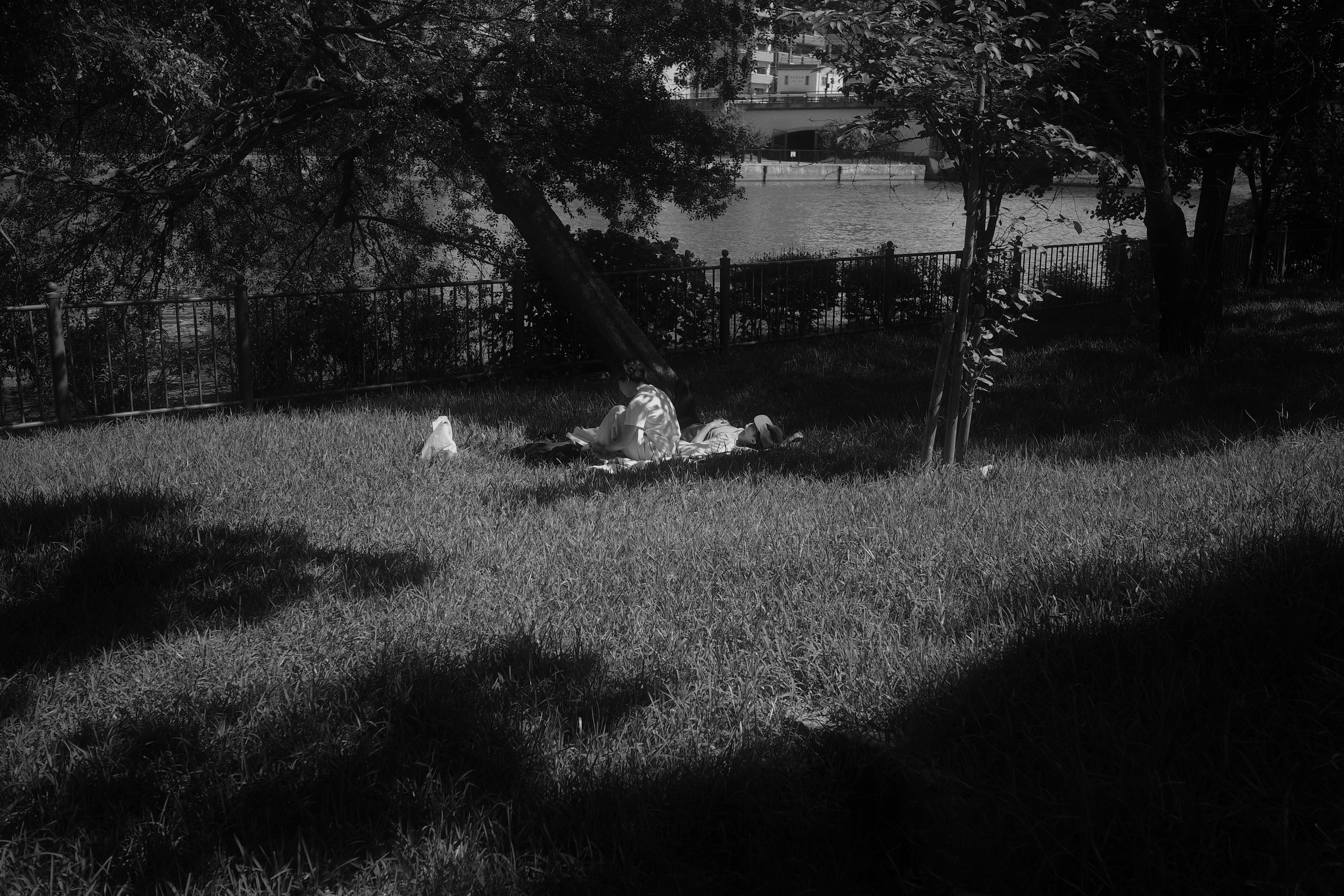 People relaxing on grass with shadows of trees