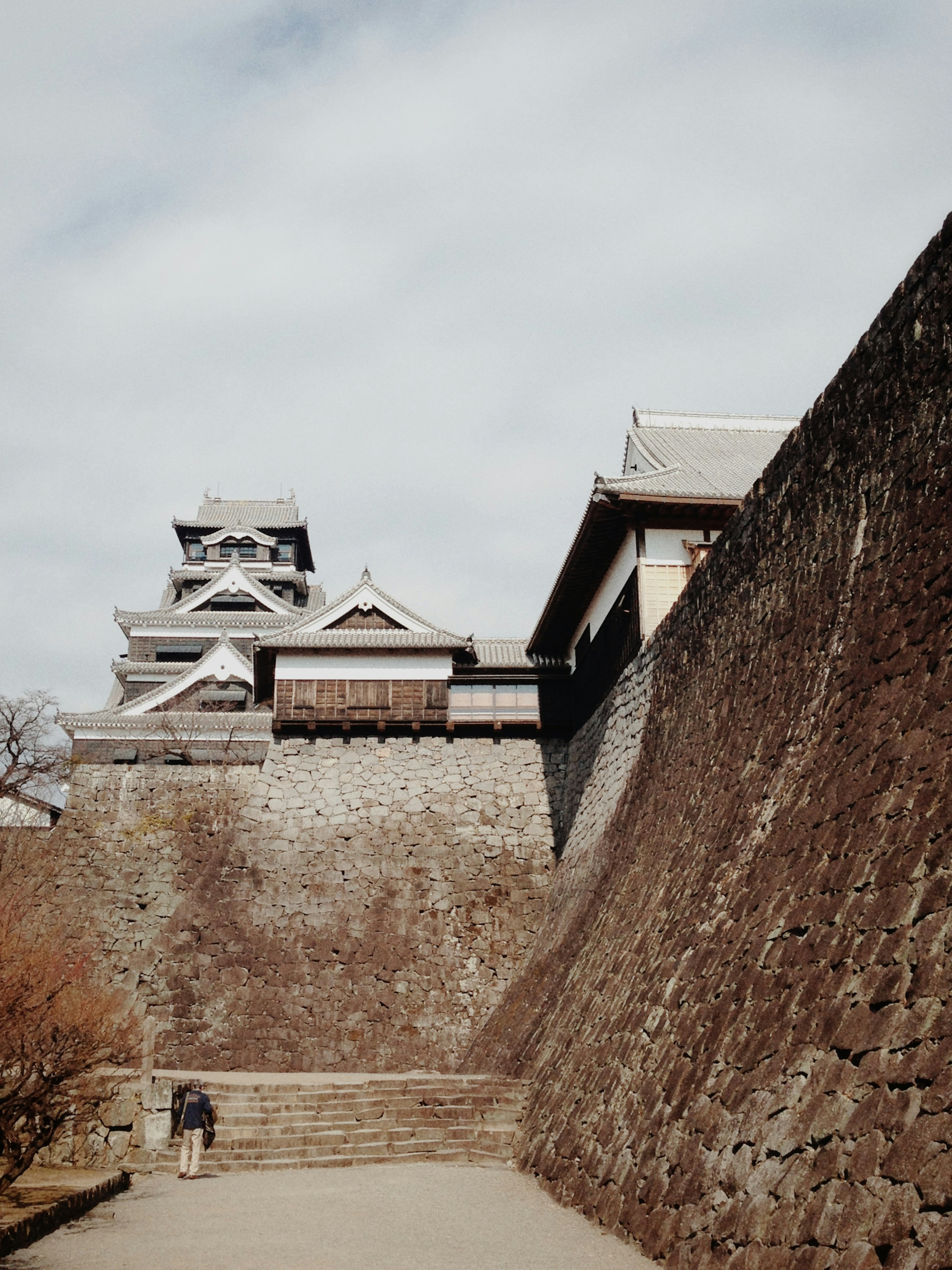 Vista de un muro de piedra con un castillo japonés tradicional al fondo