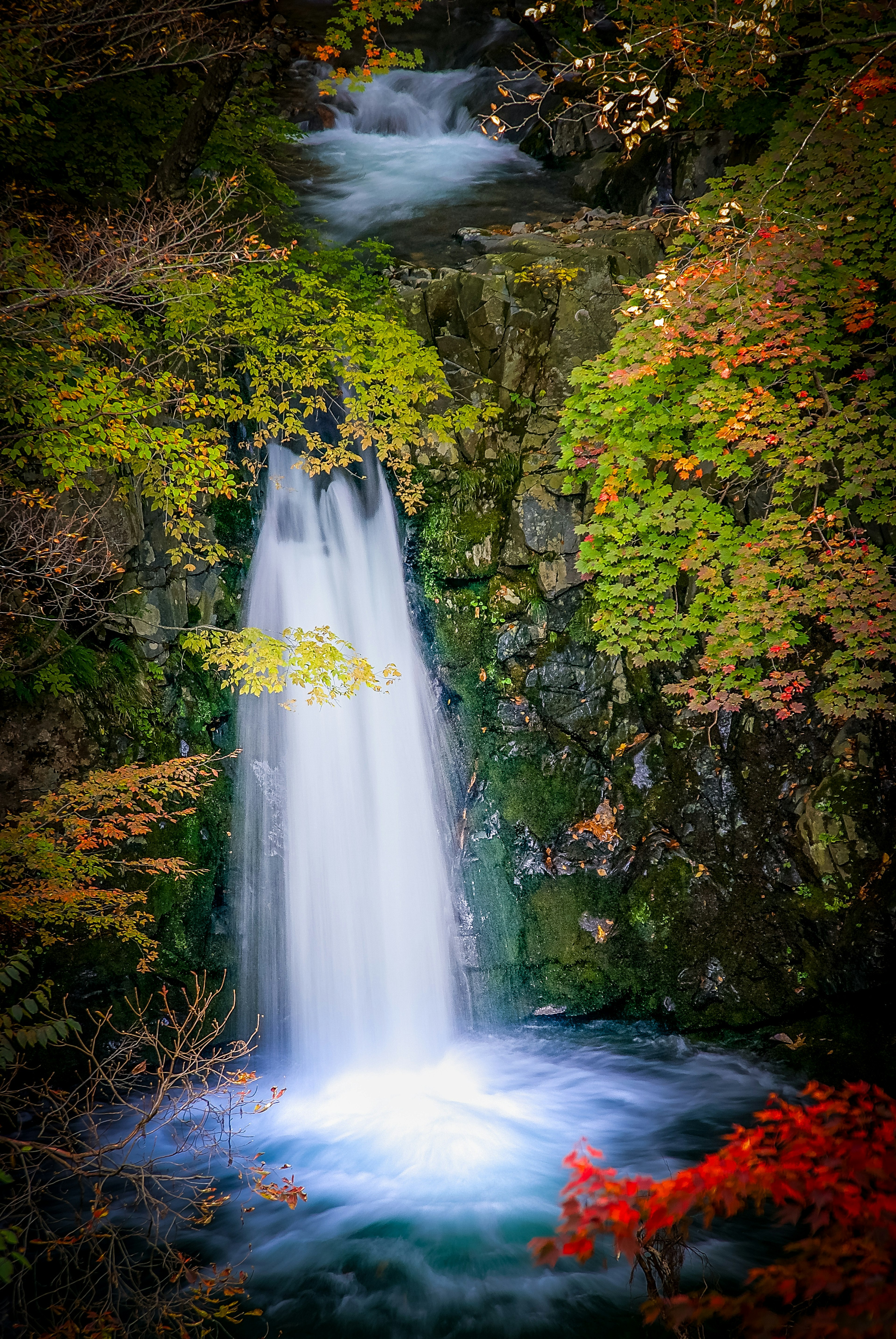 Una bella cascata circondata da vegetazione e foglie autunnali