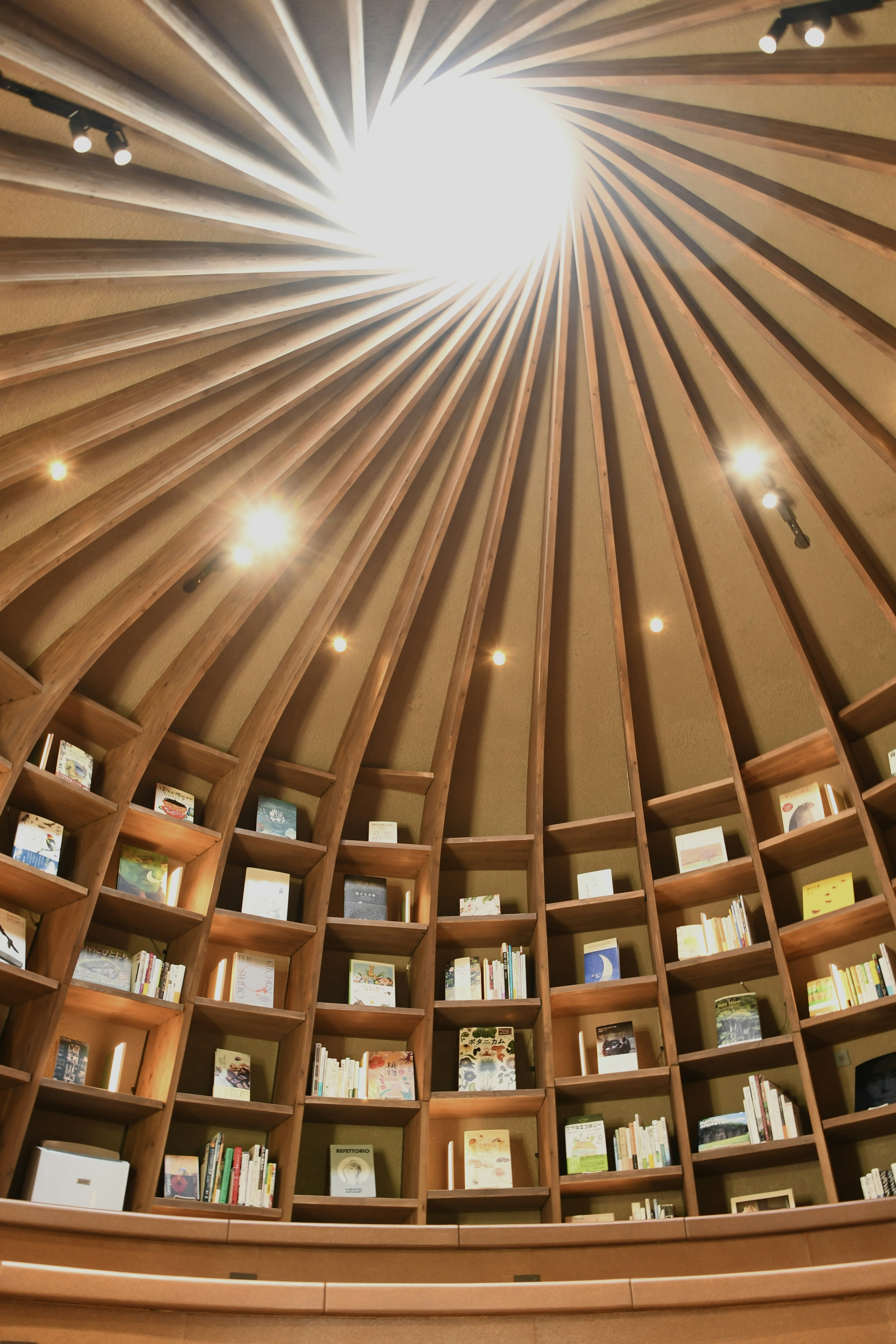 Vista interna di una biblioteca circolare con lucernario scaffali pieni di libri vari