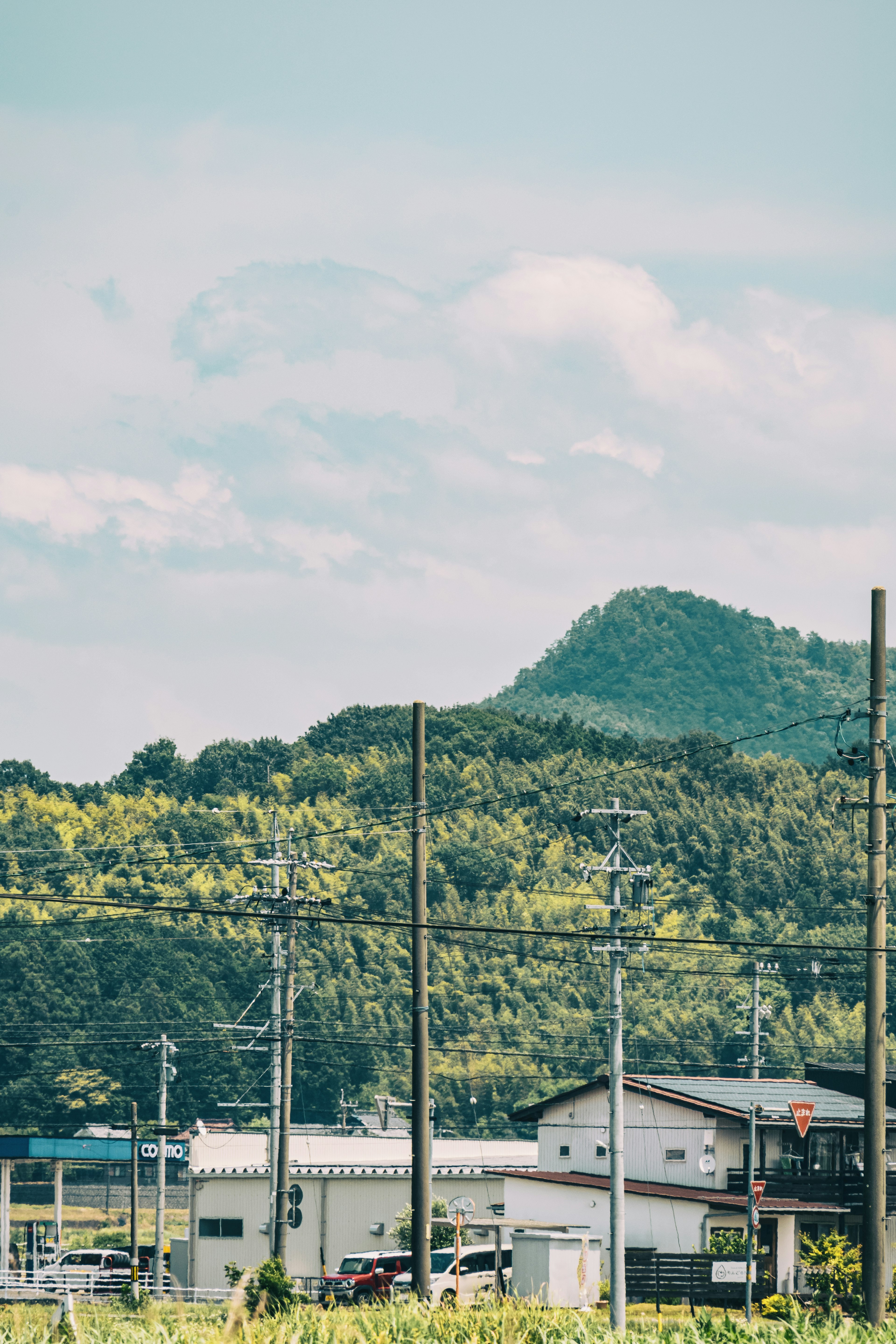 緑豊かな山々と田舎の風景が広がる風景