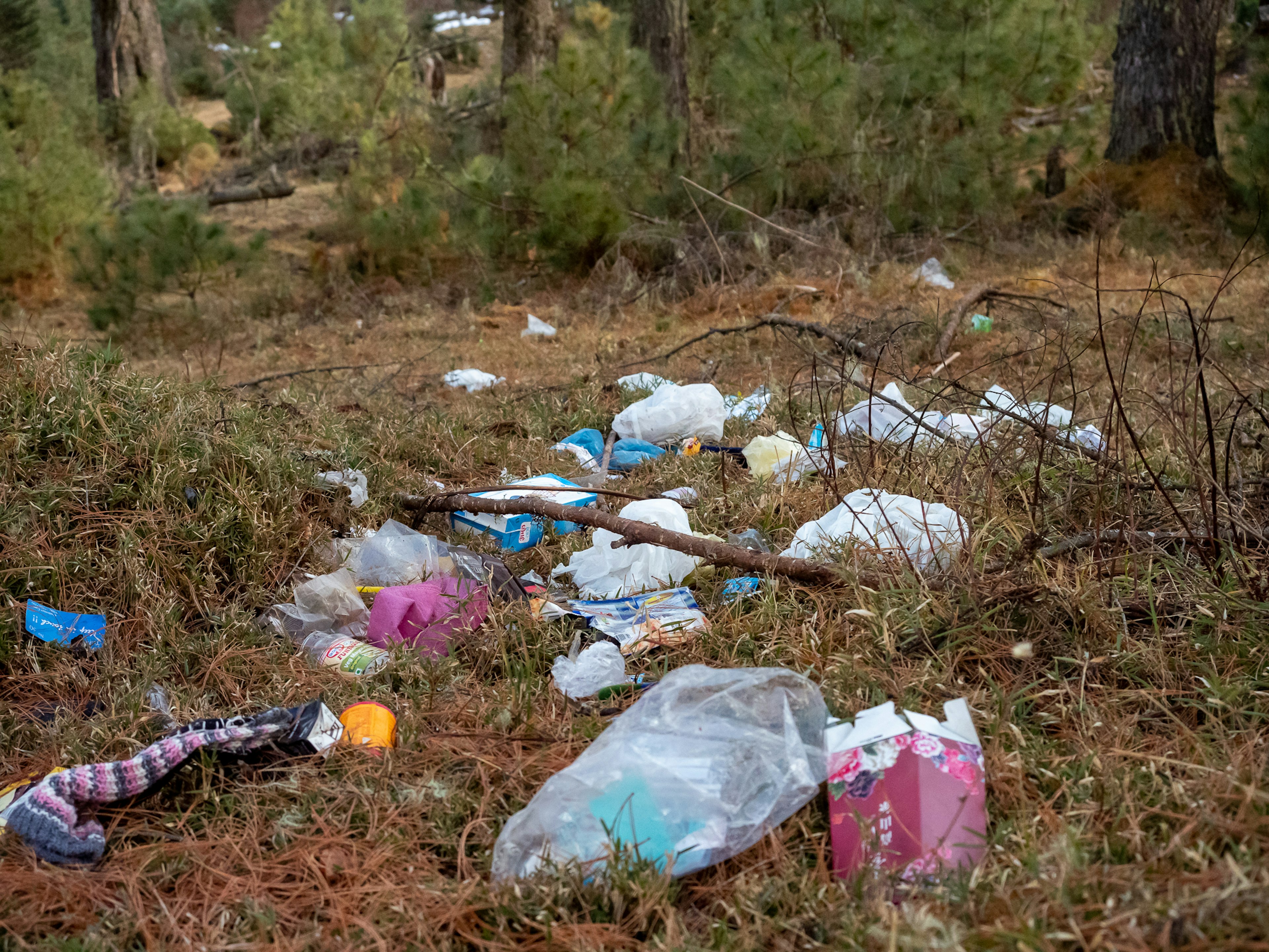 Rifiuti e sacchetti di plastica sparsi in una foresta