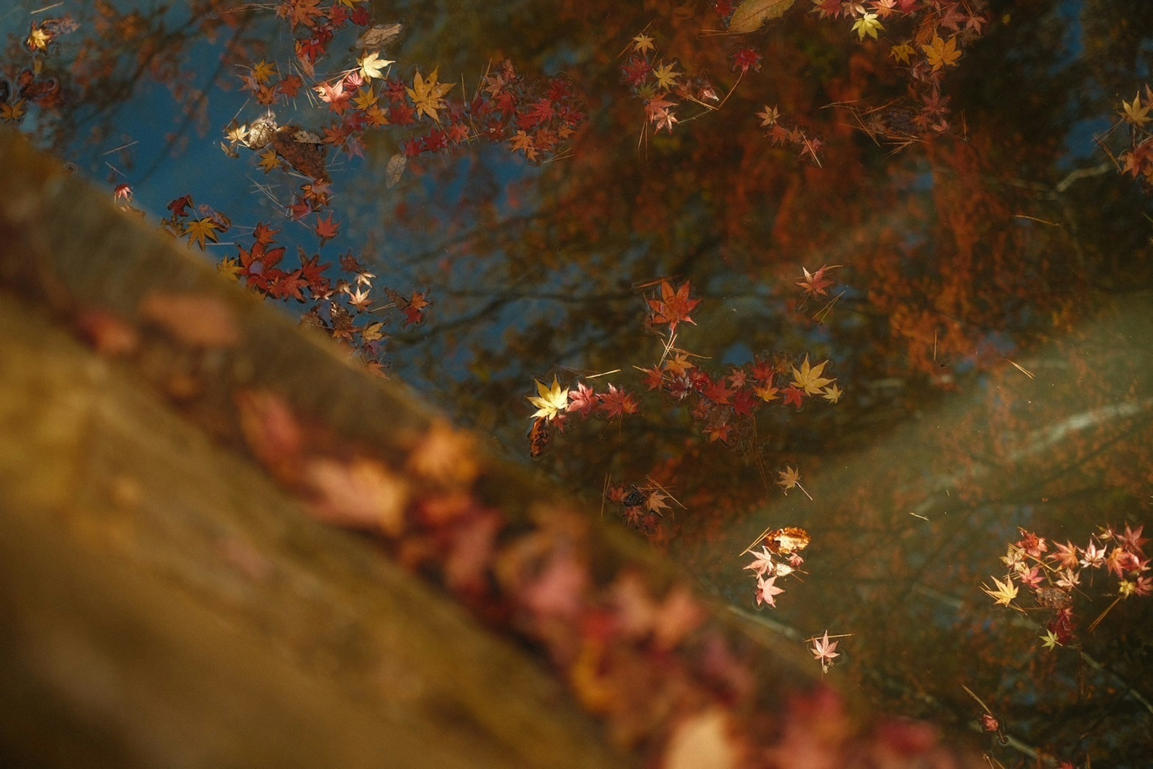 紅葉が水面に映る美しい秋の風景