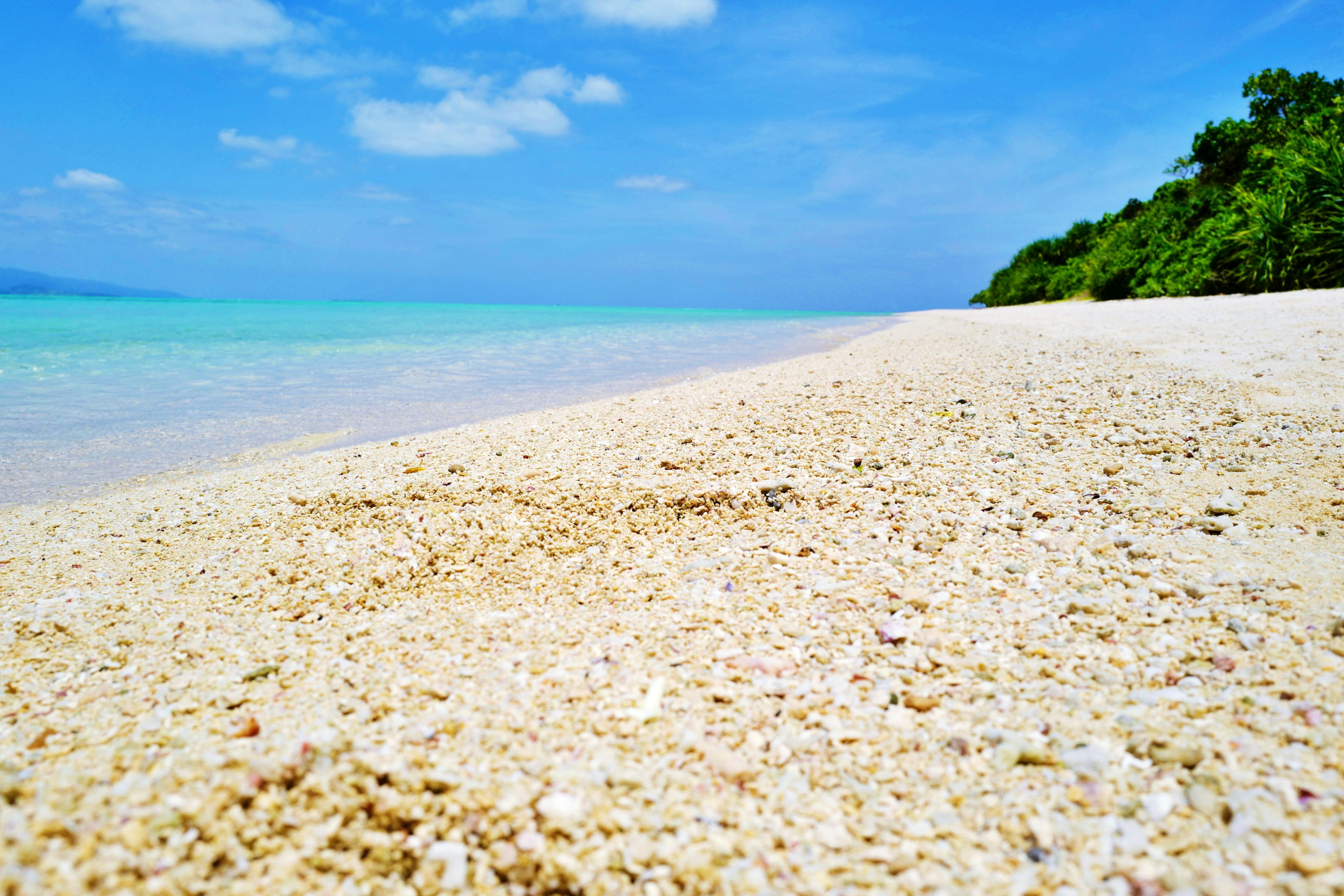 白い砂浜と青い海が広がるビーチの風景