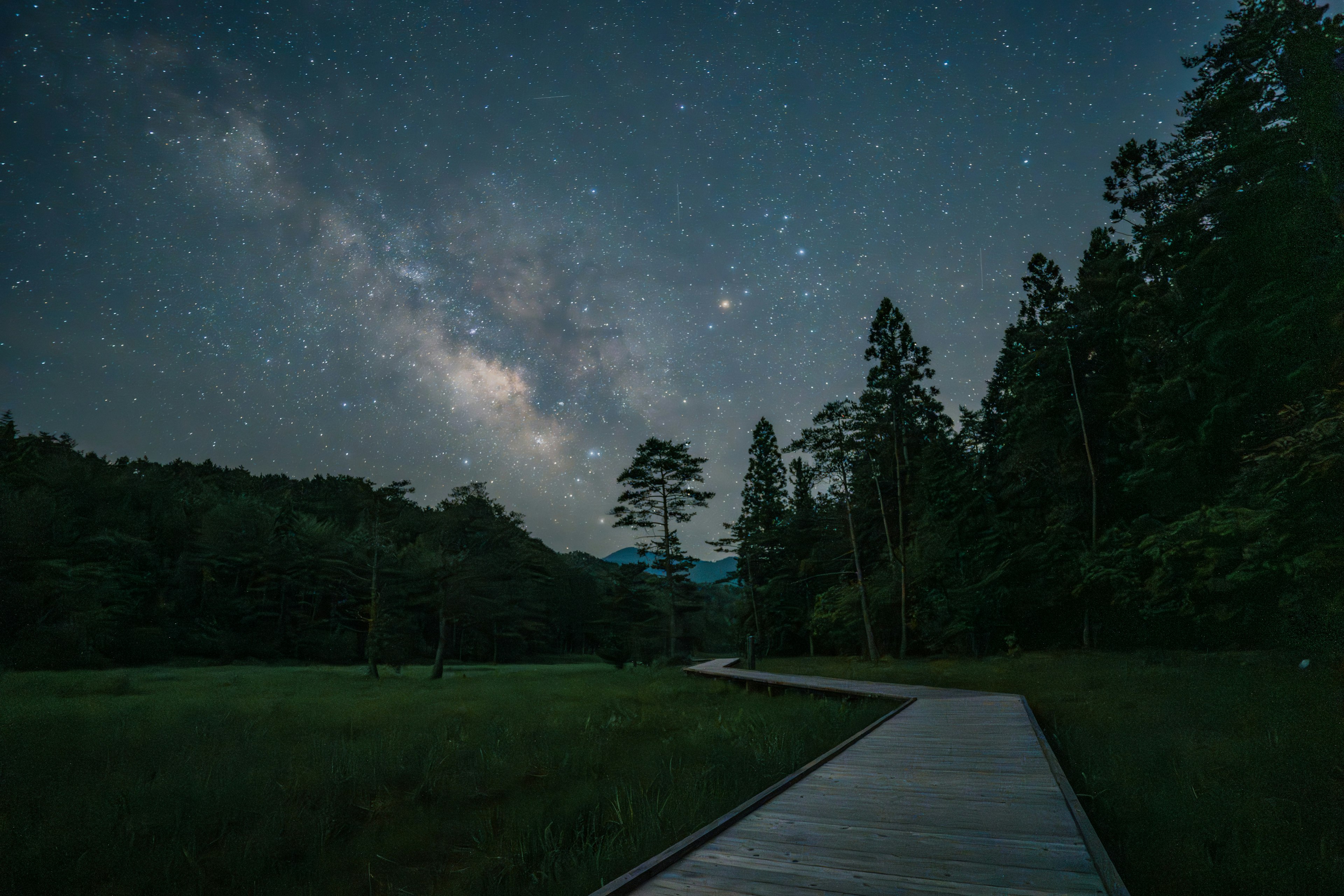 Scenic boardwalk through a forest under a starry sky