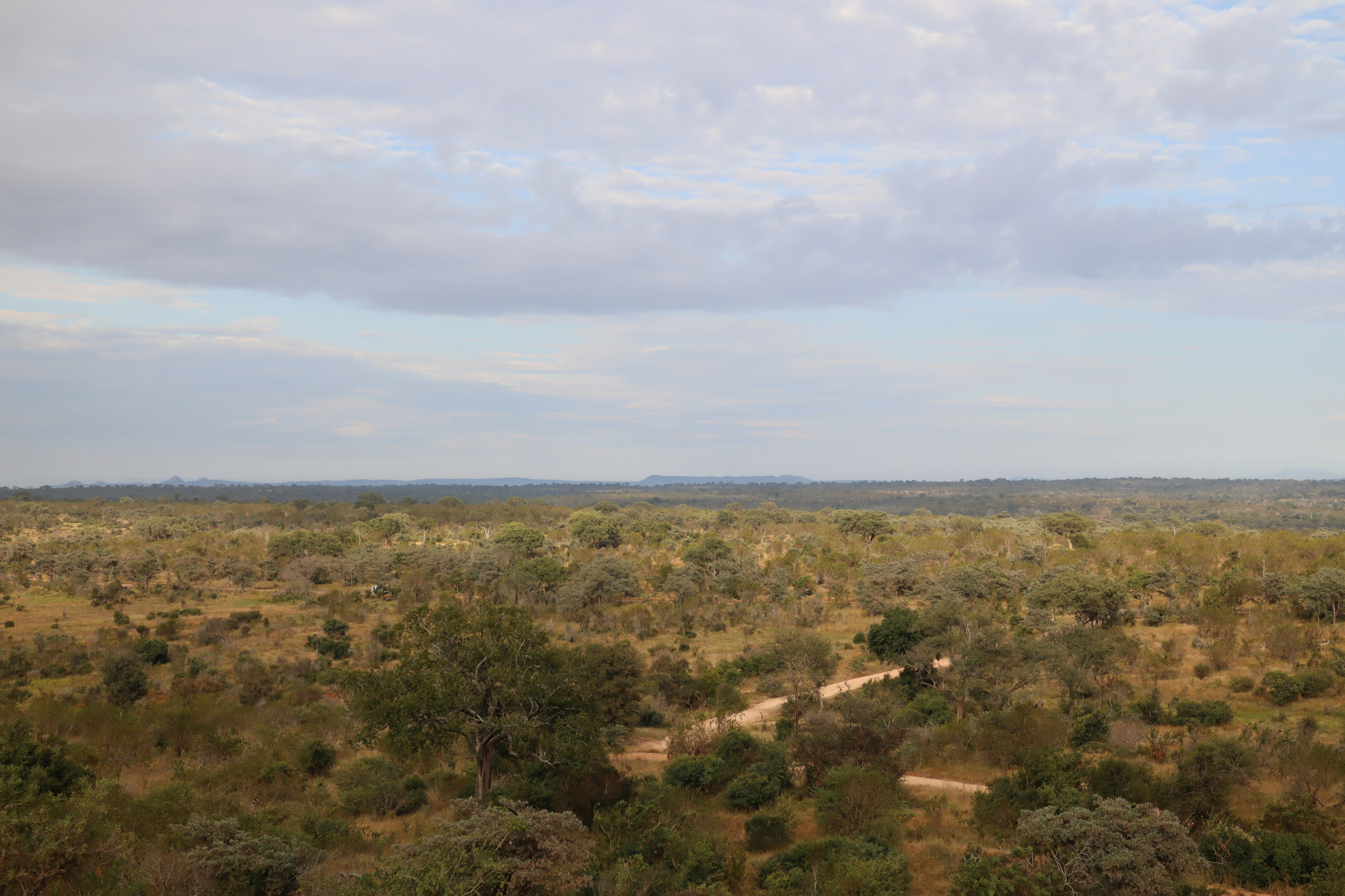 Paysage vaste avec des prairies ouvertes et des arbres épars